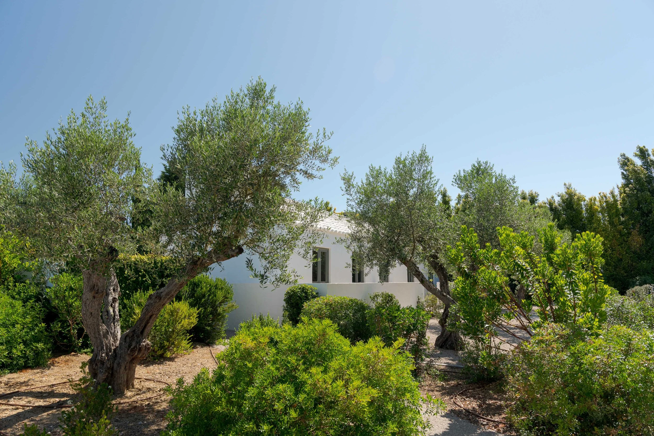 Portugal Hotels | Slow Living | Destination Wedding | Nature Hotels | Eco travel | eco luxury | nature destination | Landscape Hotels | Algarve hotels | Farm Hotels | Casas da Quinta de Cima