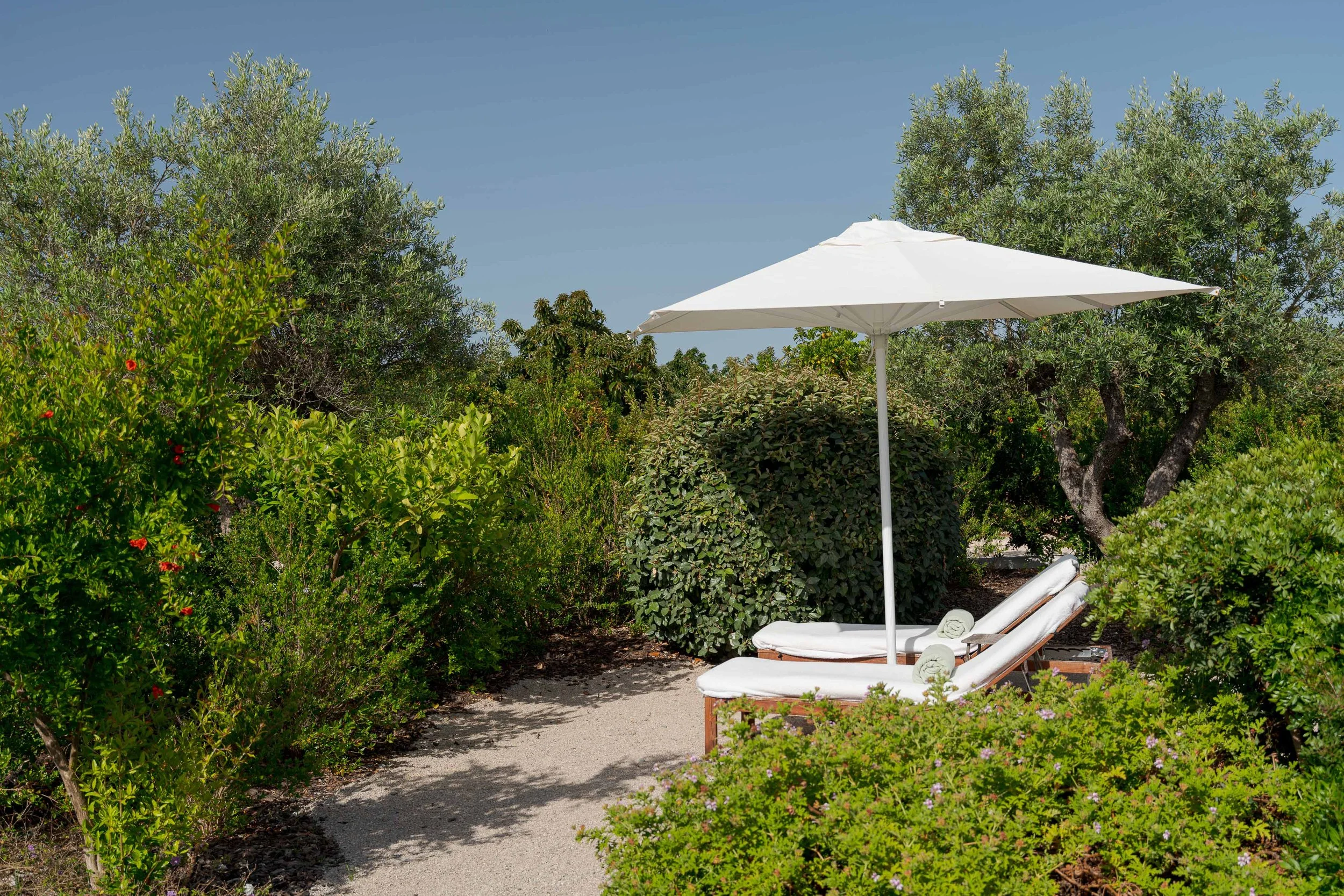 Portugal Hotels | Slow Living | Destination Wedding | Nature Hotels | Eco travel | eco luxury | nature destination | Landscape Hotels | Algarve hotels | Farm Hotels | Casas da Quinta de Cima