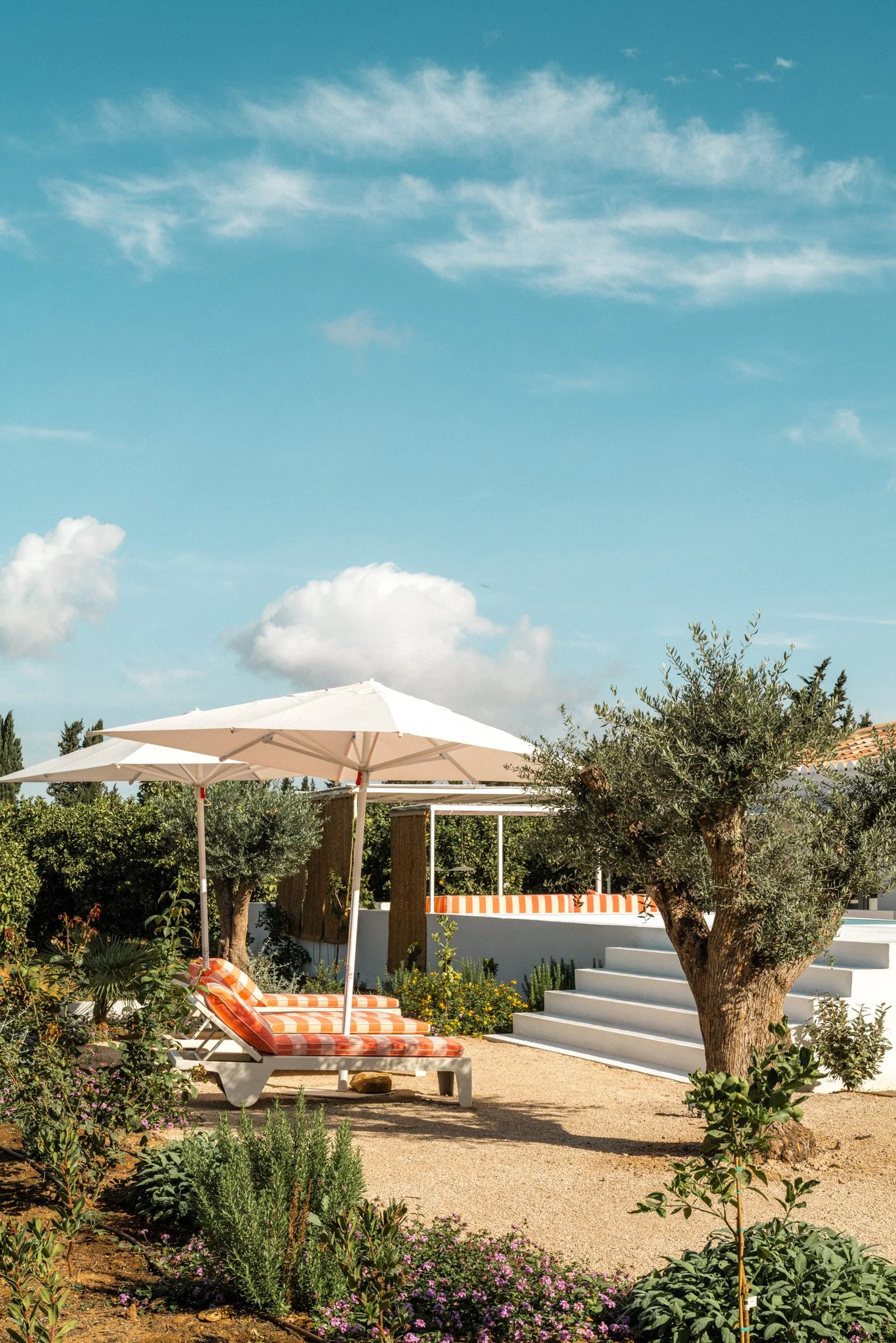 Portugal Hotels | Slow Living | Destination Wedding | Nature Hotels | Eco travel | eco luxury | nature destination | Landscape Hotels | Algarve hotels | Farm Hotels | Casas da Quinta de Cima