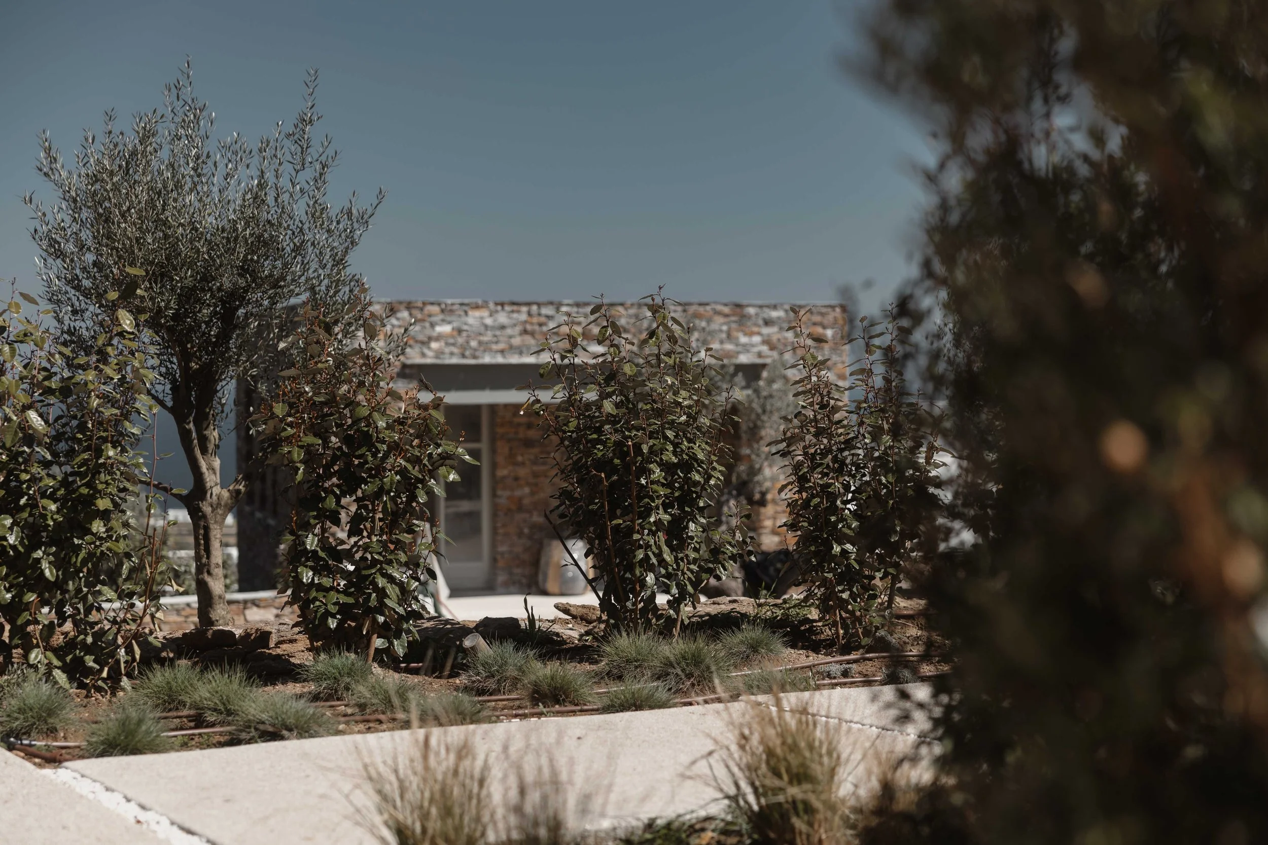 Greek Islands Hotels | Slow Living | Hotel Design | Nature Hotels | Eco travel | eco luxury | nature destination | Landscape Hotels | Sifnos hotels | Greece Hotels | Stamna Sifnos