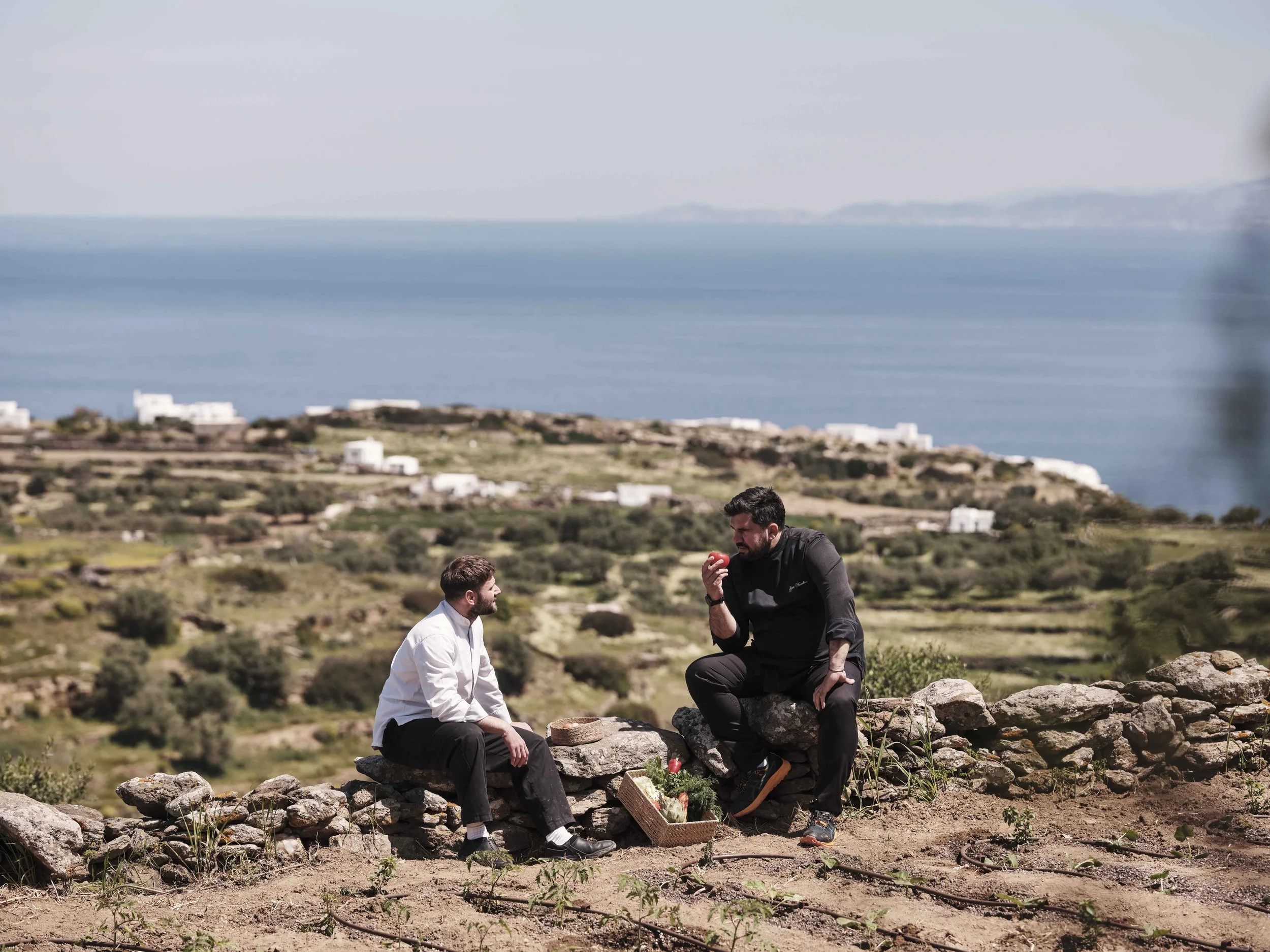 drz_stamna_sifnos_5194629.jpg