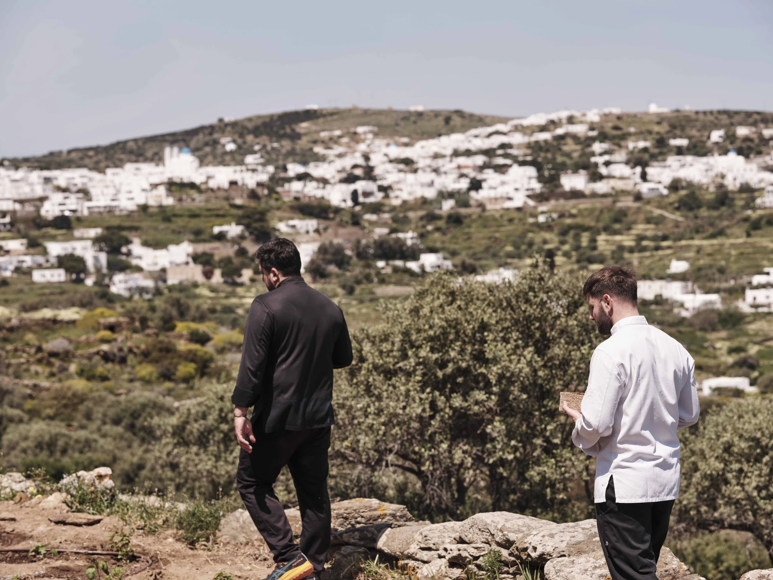 drz_stamna_sifnos_5194708.jpg