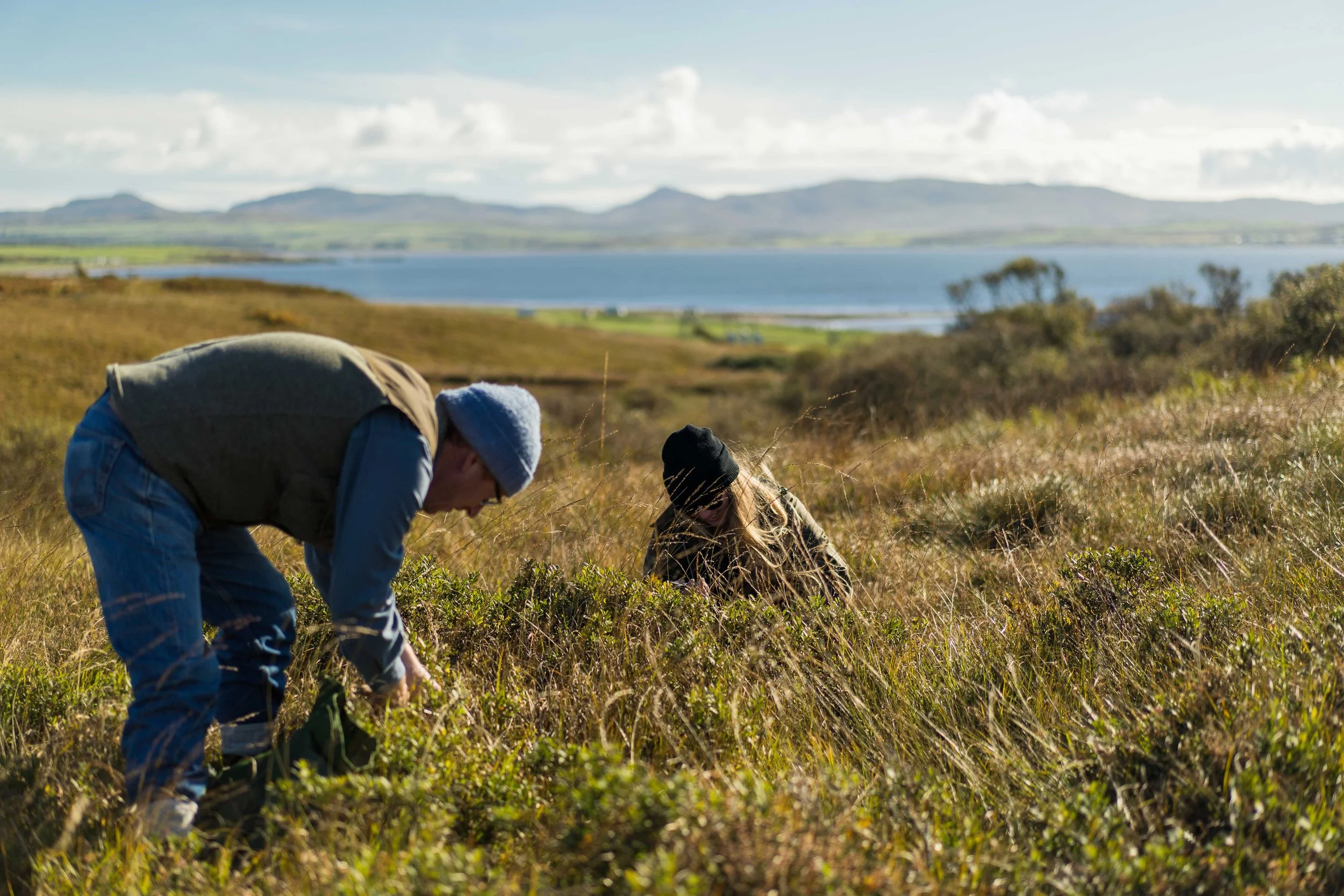 Sustainable Brand | Nature Destination | Experiential travel | Travel Guide | Gin Tasting | Foraging | Sustainable Business |  Islay Scotland | Travel Scotland | Botanist Gin | Bruichladdich Distillery | Room and Wild | Kate Hannett