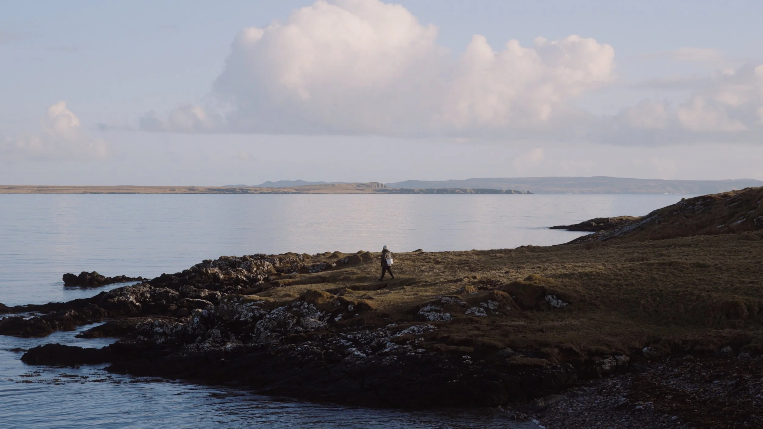 Stewards of the Wild: Foraging Islay