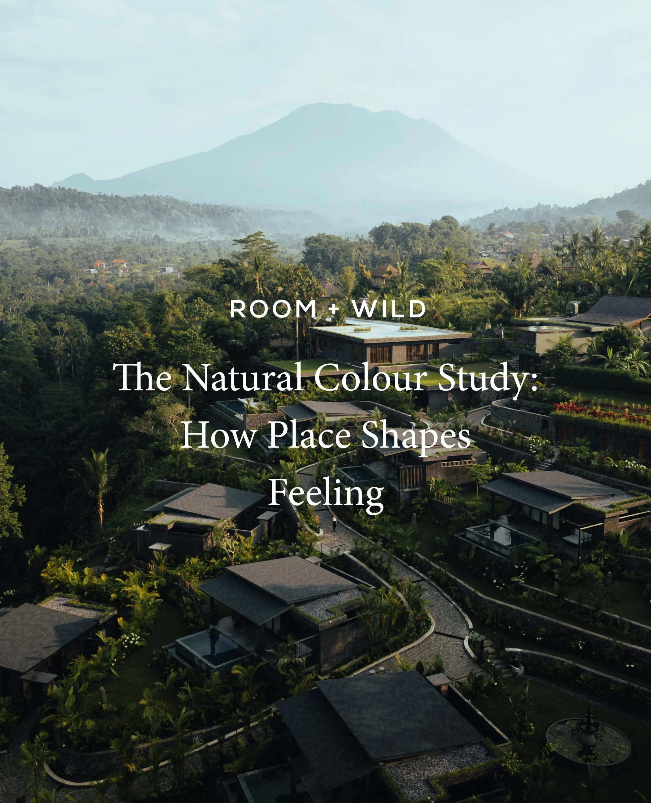 Colour is one of the first ways we experience a landscape, often before we fully register its shapes or textures. The deep cobalt of the sea, the pale dust of limestone cliffs, the burnt reds of desert earth, the dense greens of rainforest canopies. 