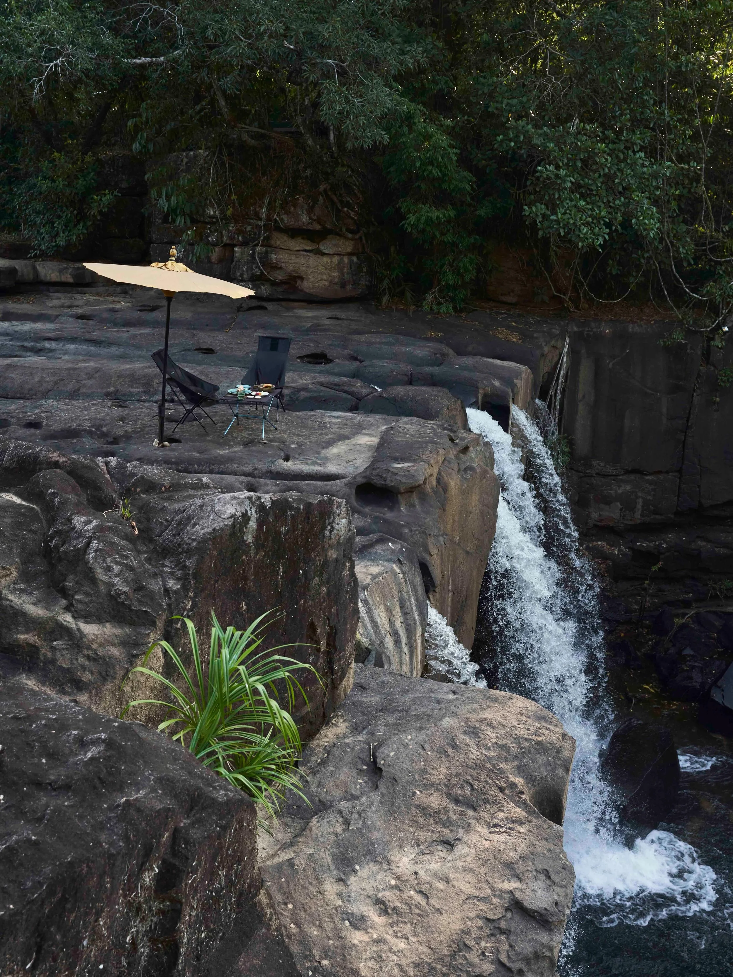 Set within the rainforest corridor connecting the Bokor National Park and Kirirom National Park landscapes, Shinta Mani Wild occupies a region of remarkable botanical richness. The geography is defined by dense tropical forest, waterfalls, river syst
