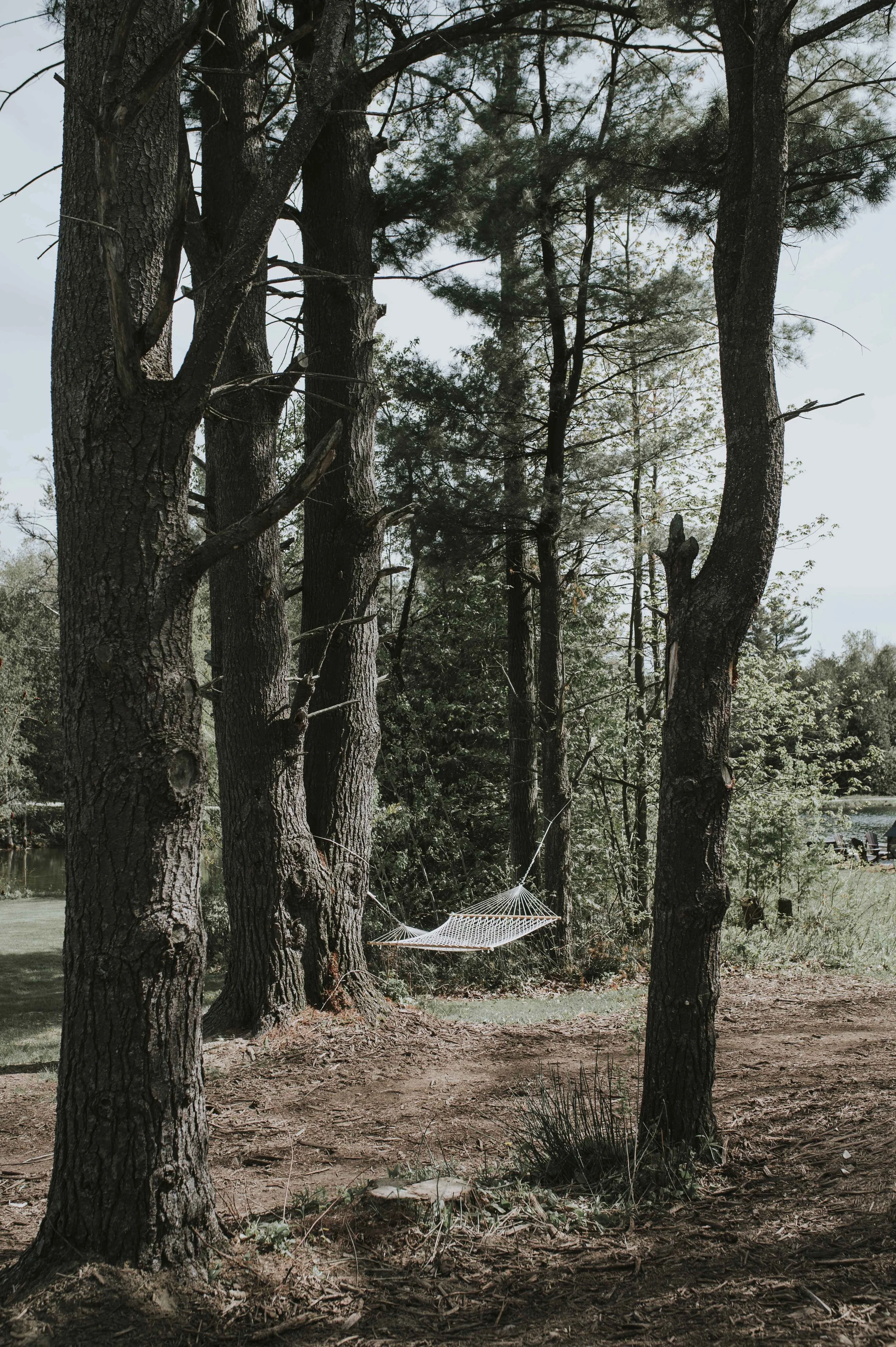 Glamping | A Frames | Nature Hotel | Landscape Hotel | Ontario Hotel | Treehouse | Canada Hotel | Whispering Springs Wilderness Retreat