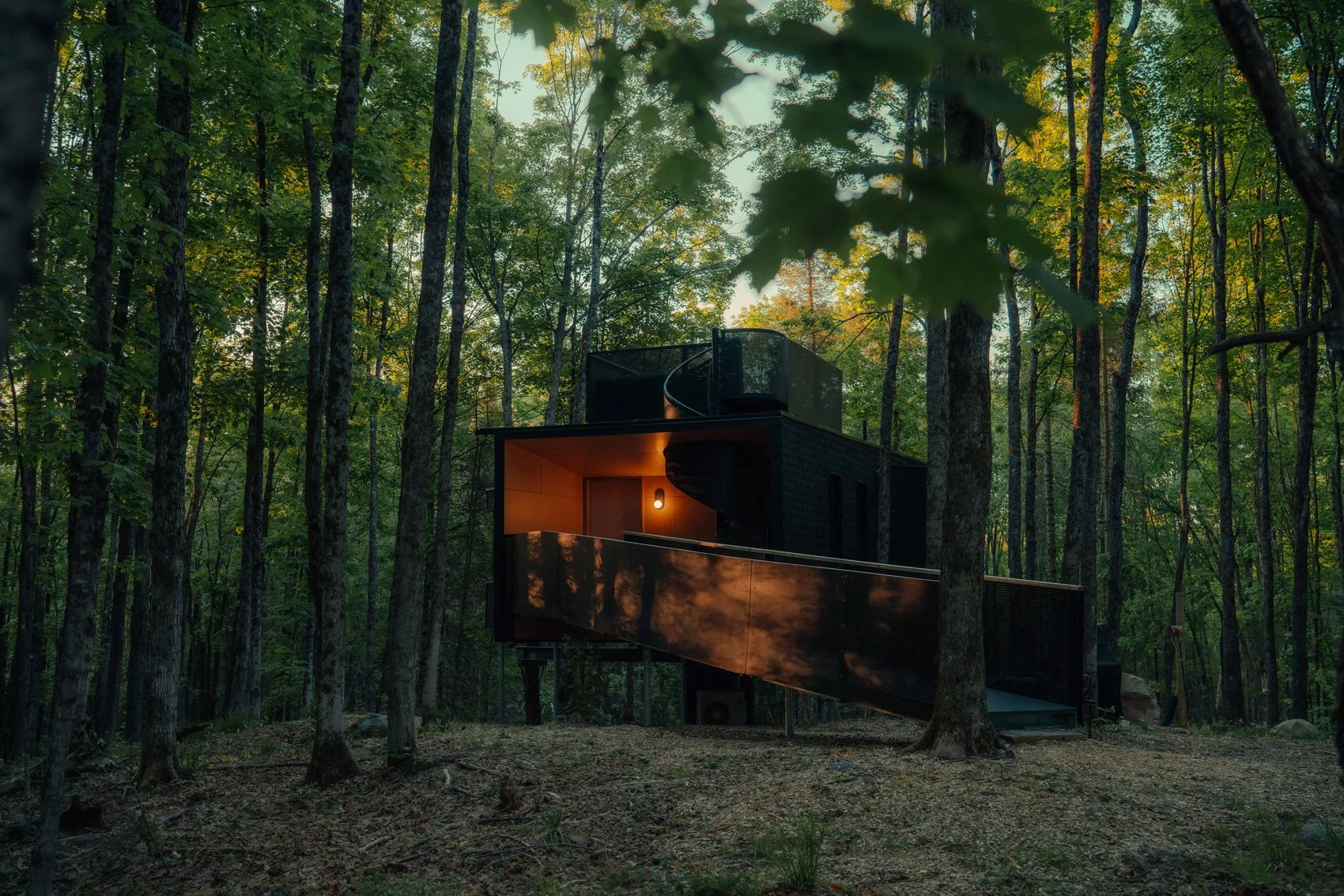Forest Bathing: The Treehouse Experience