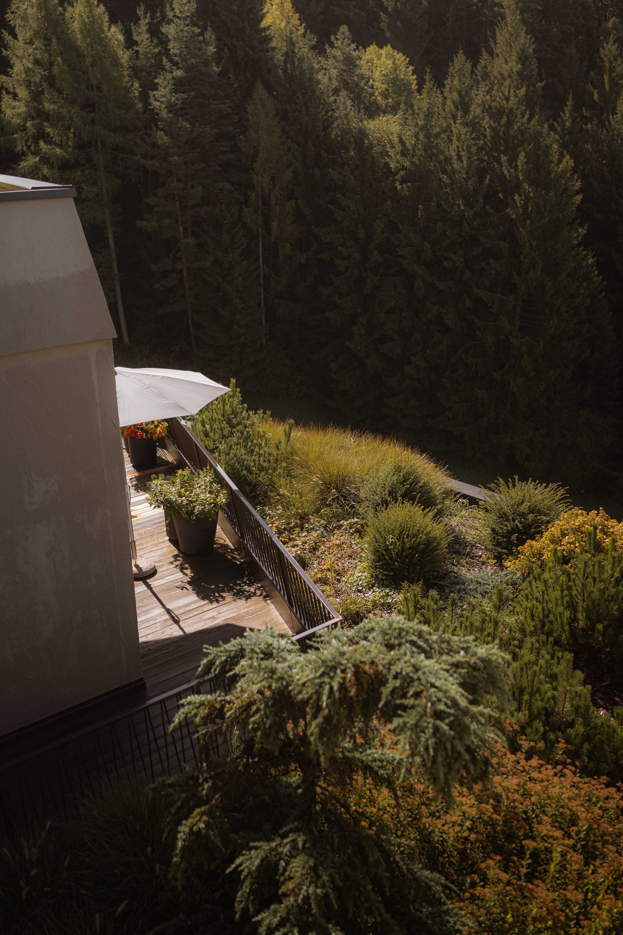 Dolomites Hotels | South Tyrol Hotels | Eco travel | eco hotel | landscape hotel | nature hotel | nature destination | room and wild | Schlern-Rosengarten | Alpe di Siusi | Lake Carezza | Gfell Hotel