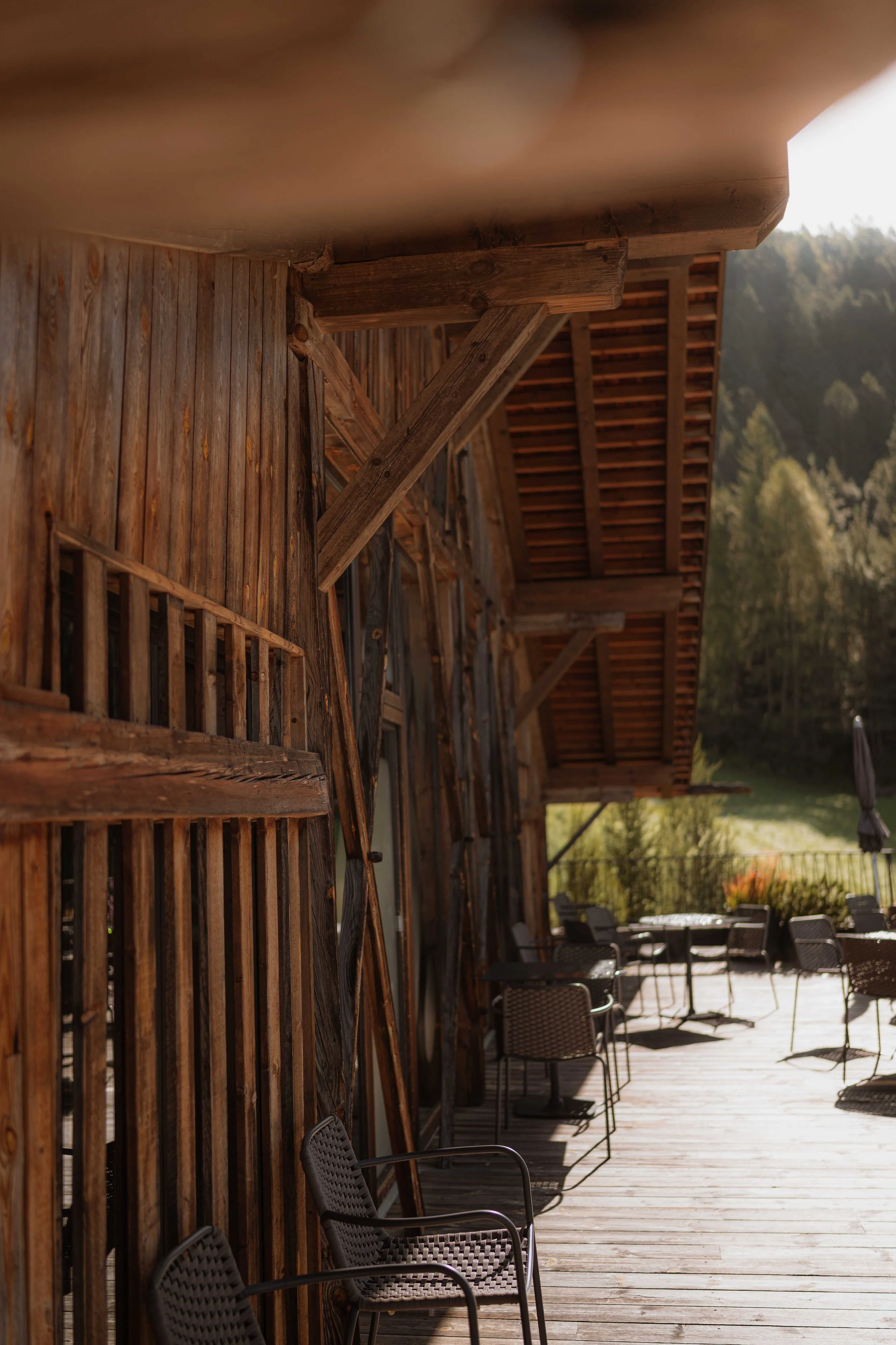 Dolomites Hotels | South Tyrol Hotels | Eco travel | eco hotel | landscape hotel | nature hotel | nature destination | room and wild | Schlern-Rosengarten | Alpe di Siusi | Lake Carezza | Gfell Hotel