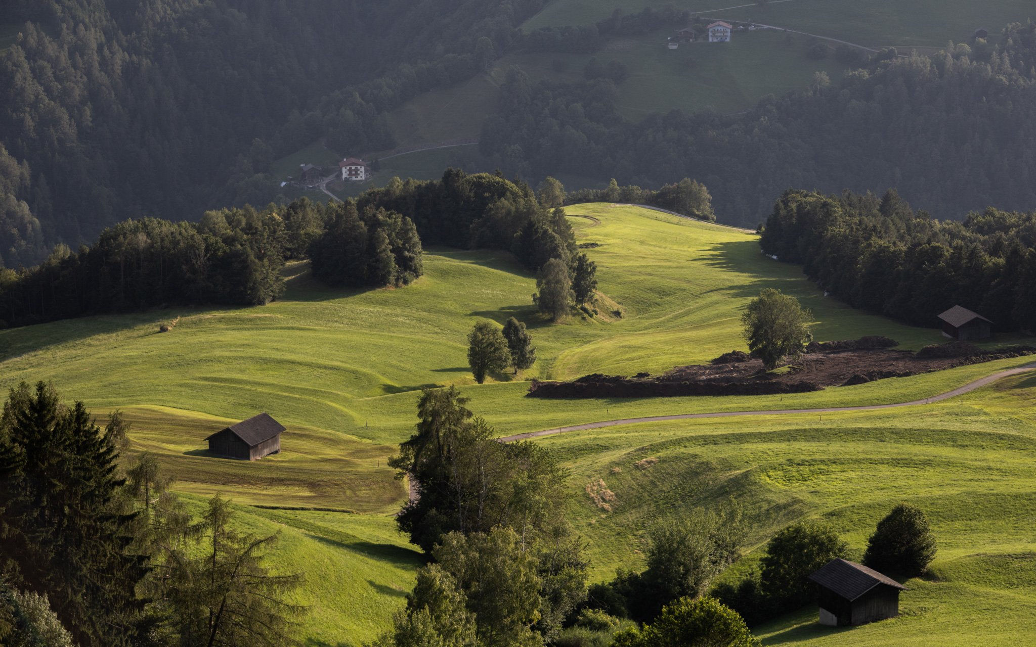 Dolomites Hotels | South Tyrol Hotels | Eco travel | eco hotel | landscape hotel | nature hotel | nature destination | room and wild | Schlern-Rosengarten | Alpe di Siusi | Lake Carezza | Gfell Hotel