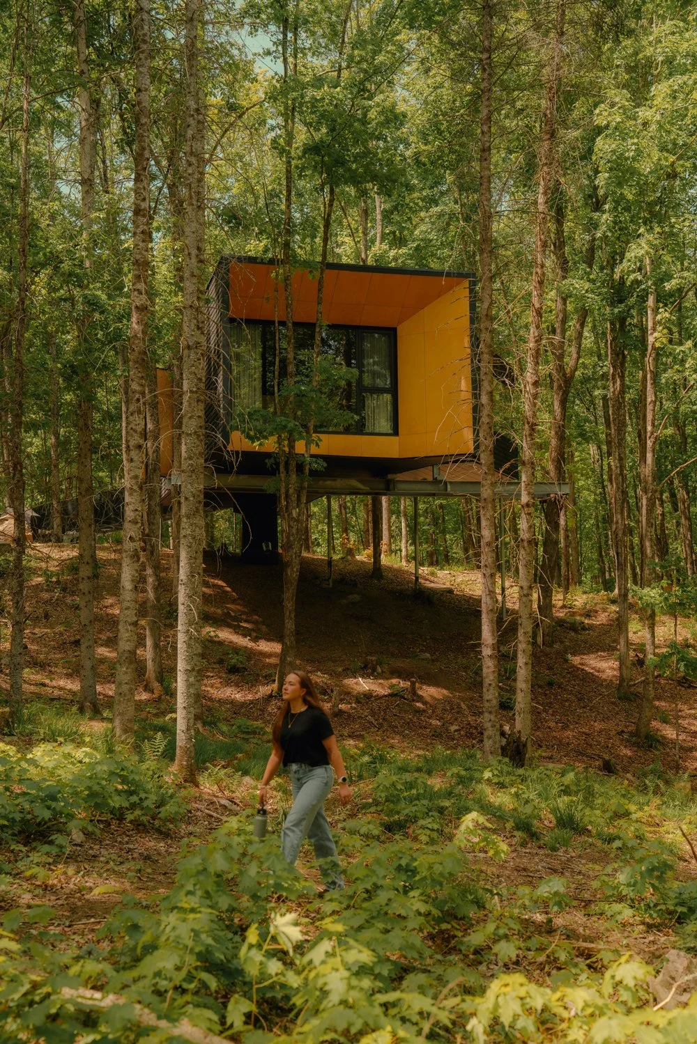 Treehouse Hotels | Canada Hotels | Eco travel | eco hotel | Slow travel | landscape hotel | nature hotel | nature destination | room and wild | Ontario boutique Hotel | Fort Treehouse Co.