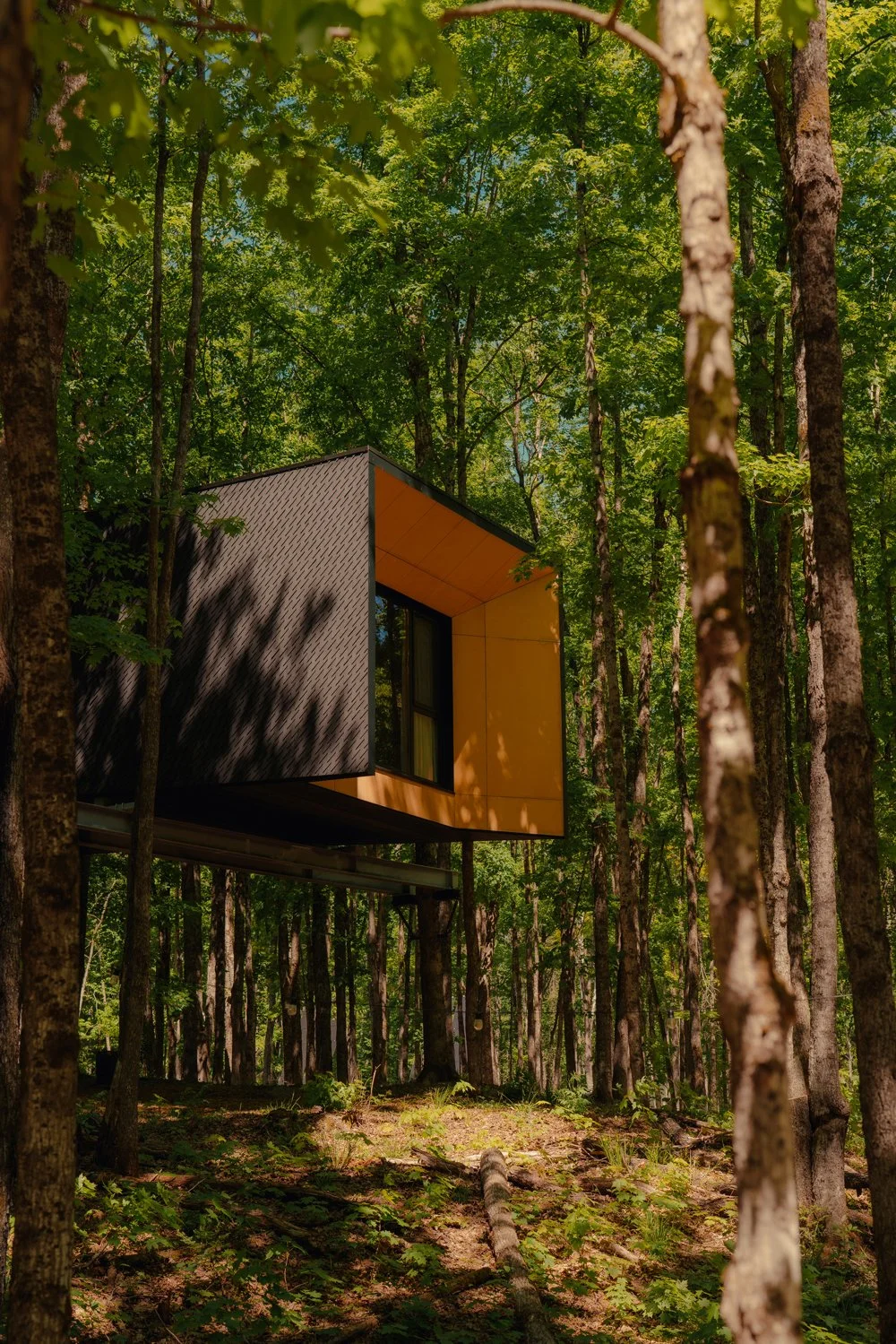 Treehouse Hotels | Canada Hotels | Eco travel | eco hotel | Slow travel | landscape hotel | nature hotel | nature destination | room and wild | Ontario boutique Hotel | Fort Treehouse Co.