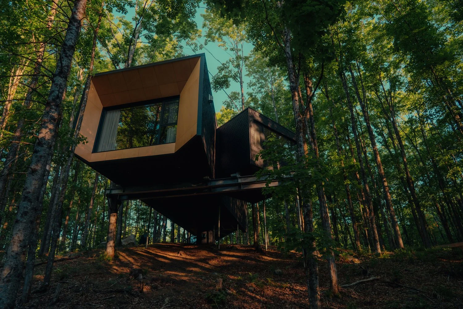 Treehouse Hotels | Canada Hotels | Eco travel | eco hotel | Slow travel | landscape hotel | nature hotel | nature destination | room and wild | Ontario boutique Hotel | Fort Treehouse Co.