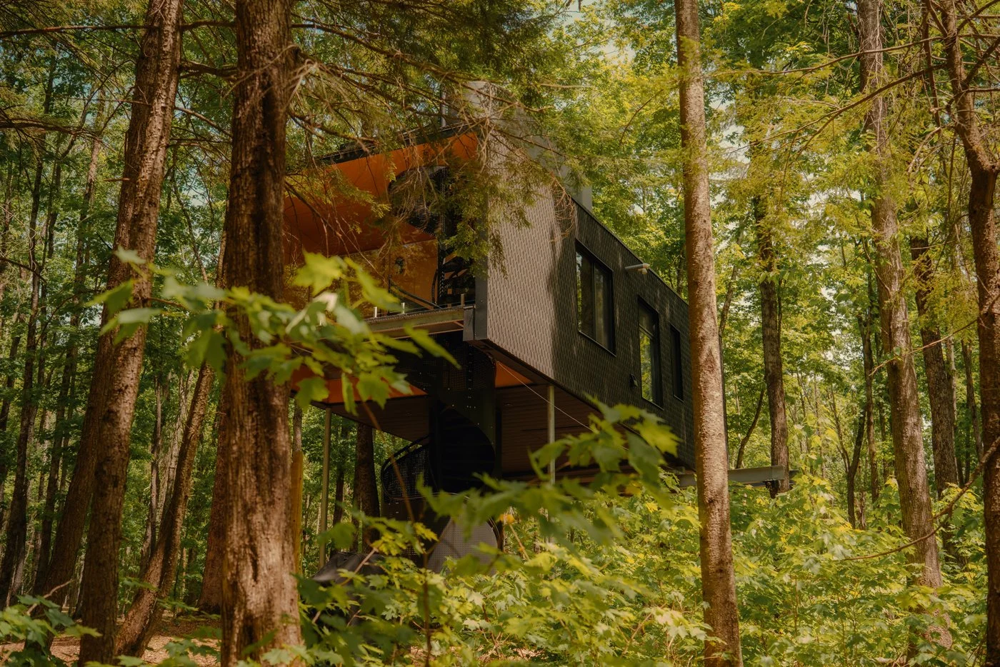 Treehouse Hotels | Canada Hotels | Eco travel | eco hotel | Slow travel | landscape hotel | nature hotel | nature destination | room and wild | Ontario boutique Hotel | Fort Treehouse Co.