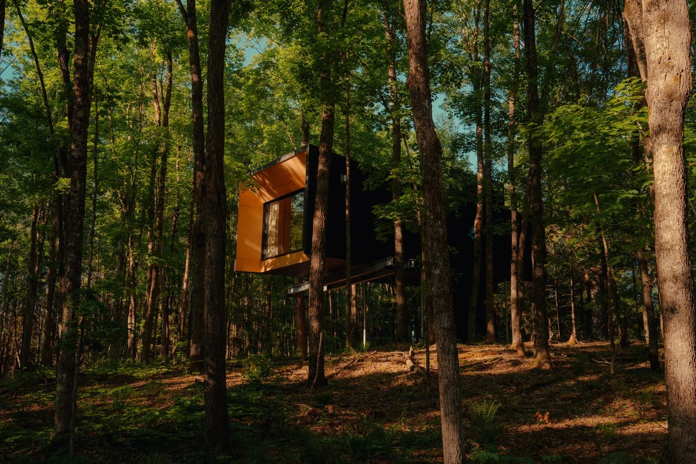 Treehouse Hotels | Canada Hotels | Eco travel | eco hotel | Slow travel | landscape hotel | nature hotel | nature destination | room and wild | Ontario boutique Hotel | Fort Treehouse Co.