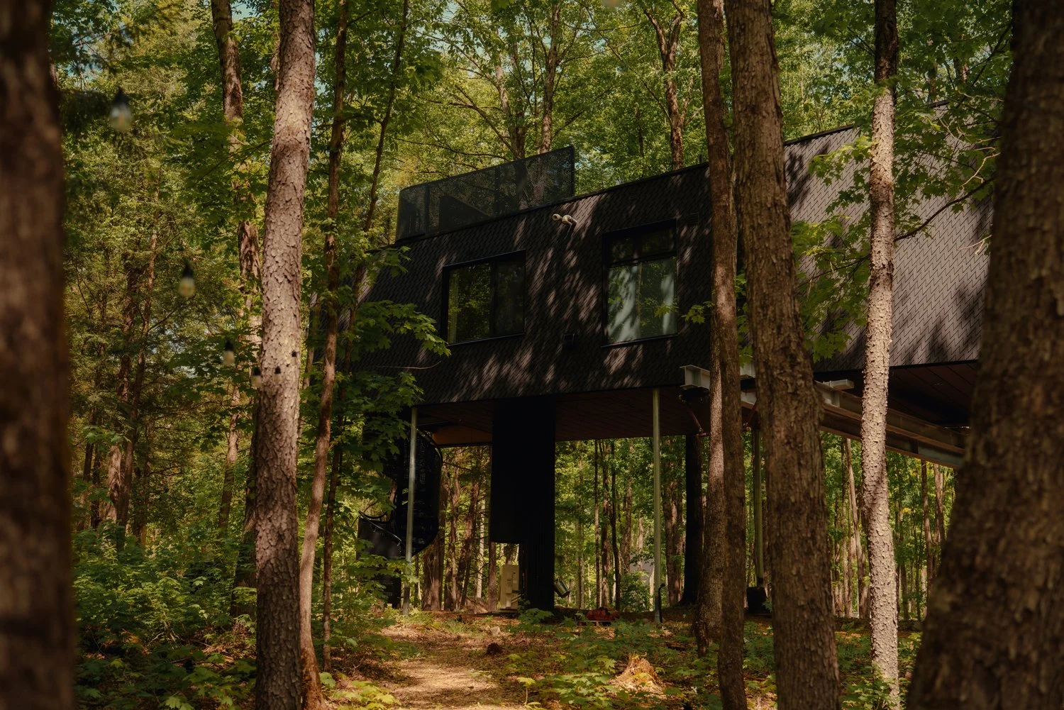Treehouse Hotels | Canada Hotels | Eco travel | eco hotel | Slow travel | landscape hotel | nature hotel | nature destination | room and wild | Ontario boutique Hotel | Fort Treehouse Co.
