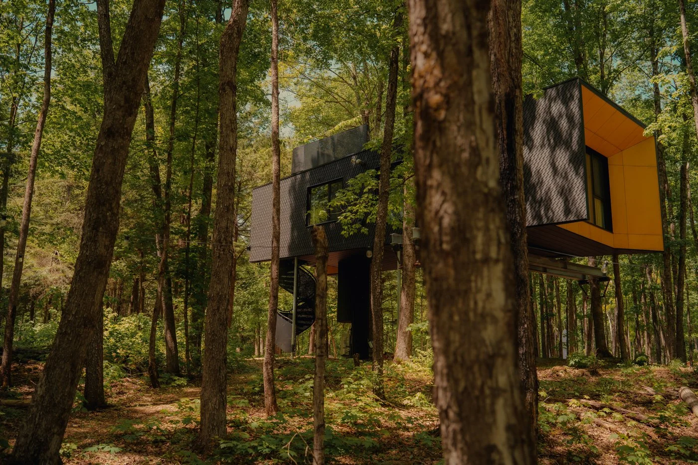 Treehouse Hotels | Canada Hotels | Eco travel | eco hotel | Slow travel | landscape hotel | nature hotel | nature destination | room and wild | Ontario boutique Hotel | Fort Treehouse Co.
