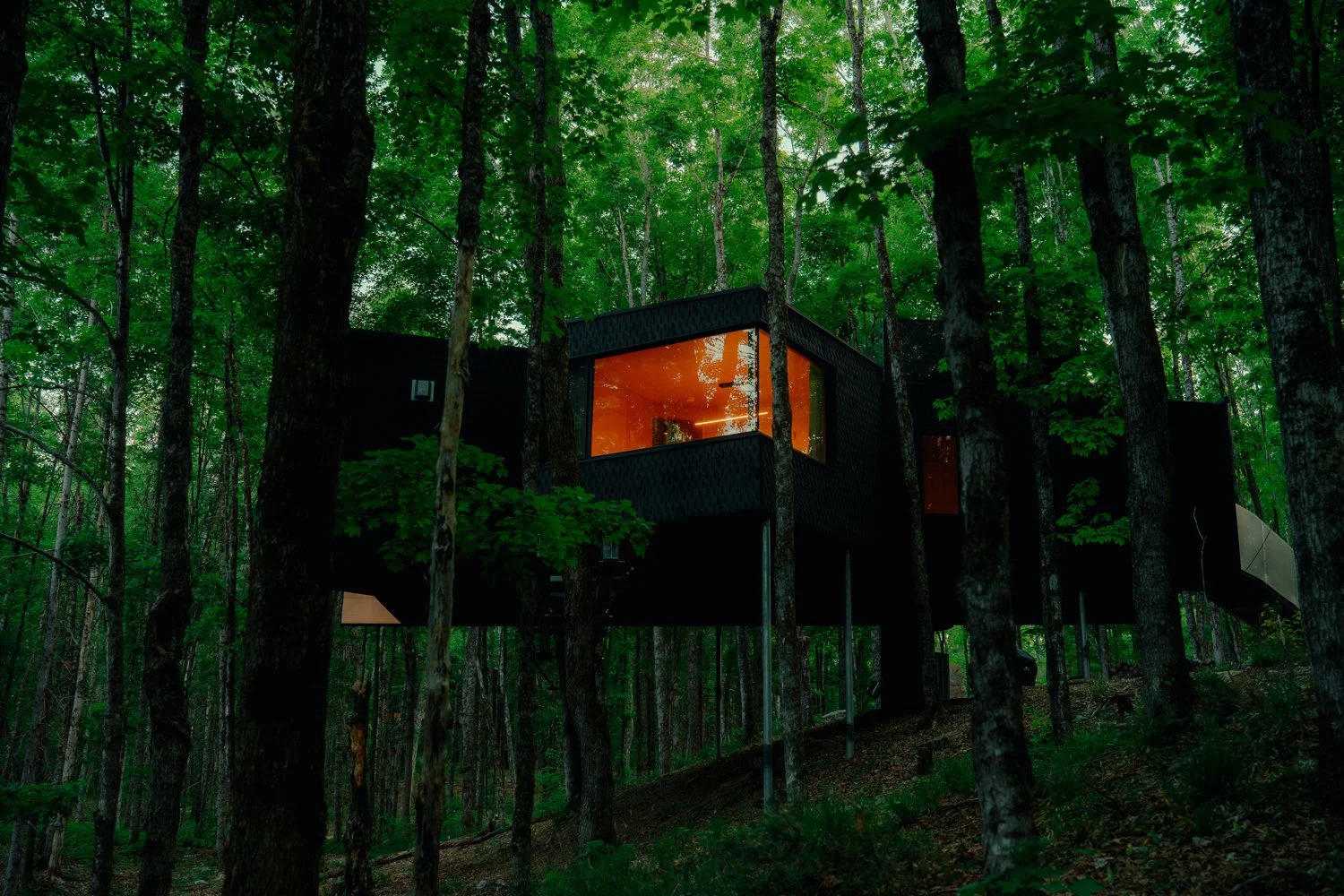 Treehouse Hotels | Canada Hotels | Eco travel | eco hotel | Slow travel | landscape hotel | nature hotel | nature destination | room and wild | Ontario boutique Hotel | Fort Treehouse Co.