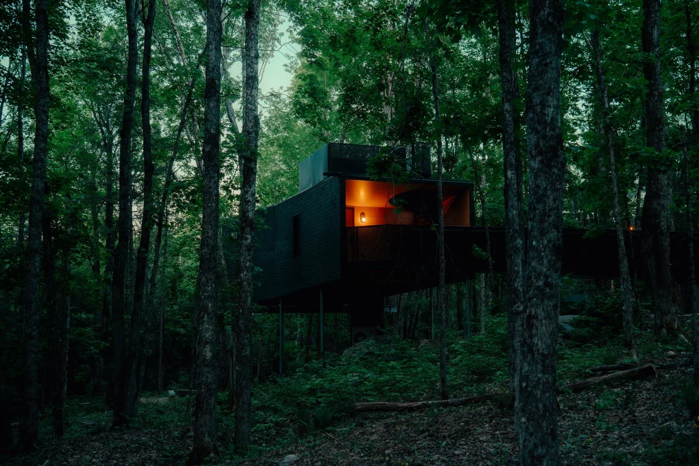 Treehouse Hotels | Canada Hotels | Eco travel | eco hotel | Slow travel | landscape hotel | nature hotel | nature destination | room and wild | Ontario boutique Hotel | Fort Treehouse Co.