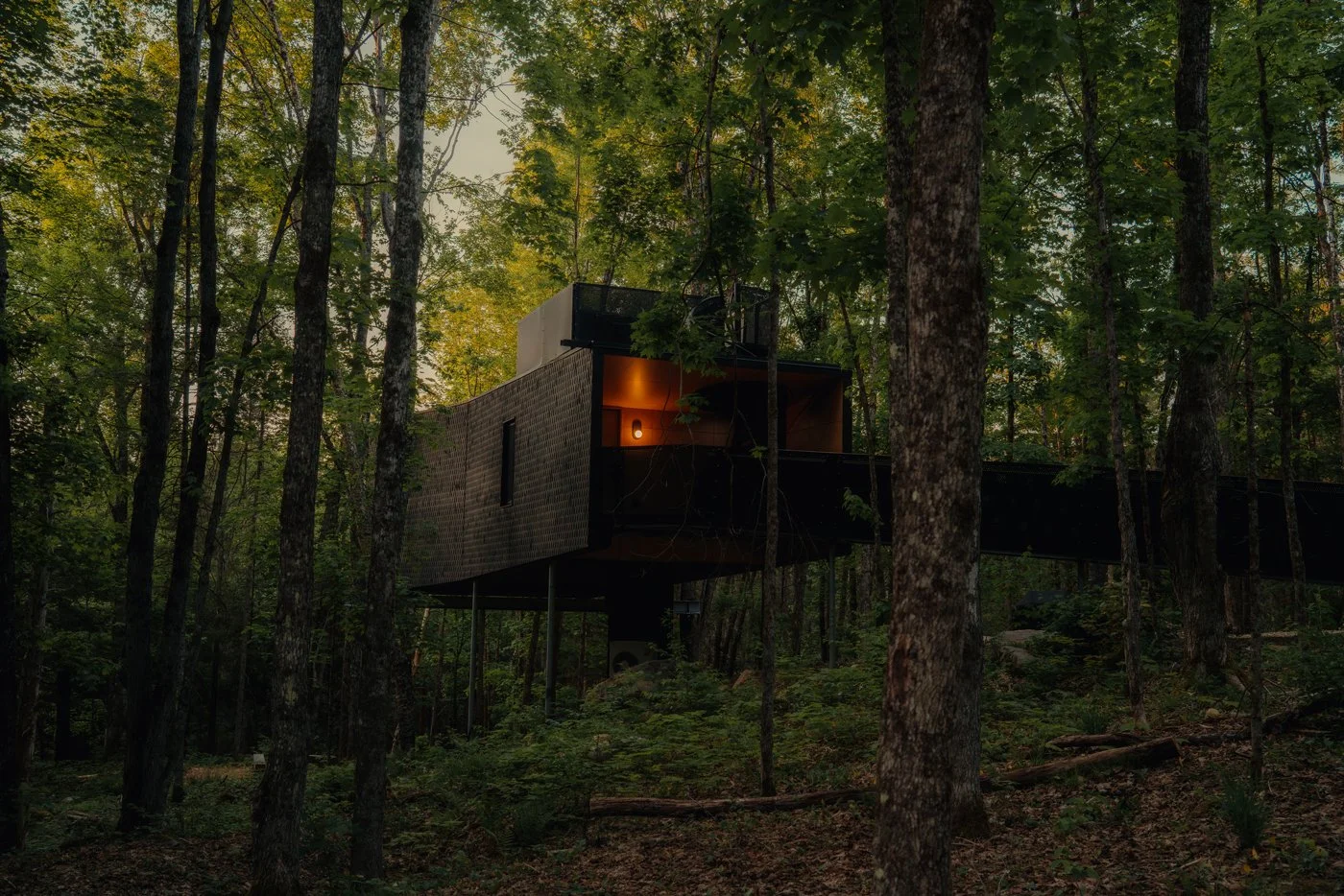 Treehouse Hotels | Canada Hotels | Eco travel | eco hotel | Slow travel | landscape hotel | nature hotel | nature destination | room and wild | Ontario boutique Hotel | Fort Treehouse Co.
