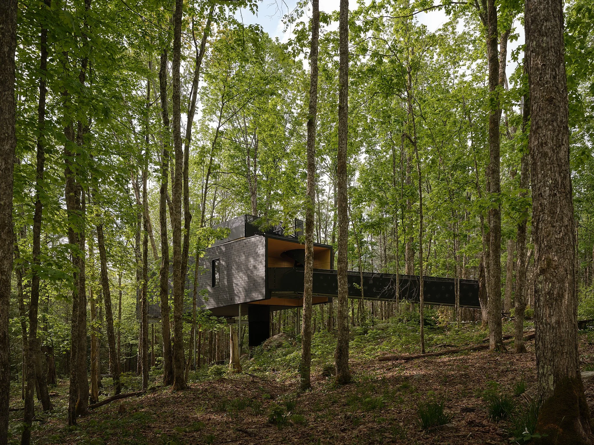 Treehouse Hotels | Canada Hotels | Eco travel | eco hotel | Slow travel | landscape hotel | nature hotel | nature destination | room and wild | Ontario boutique Hotel | Fort Treehouse Co.