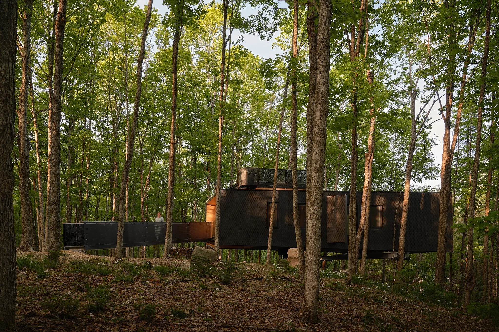 Treehouse Hotels | Canada Hotels | Eco travel | eco hotel | Slow travel | landscape hotel | nature hotel | nature destination | room and wild | Ontario boutique Hotel | Fort Treehouse Co.