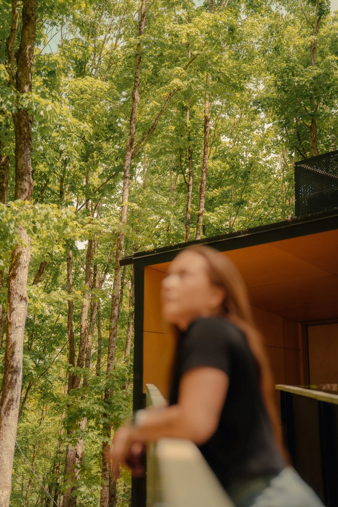Treehouse Hotels | Canada Hotels | Eco travel | eco hotel | Slow travel | landscape hotel | nature hotel | nature destination | room and wild | Ontario boutique Hotel | Fort Treehouse Co.