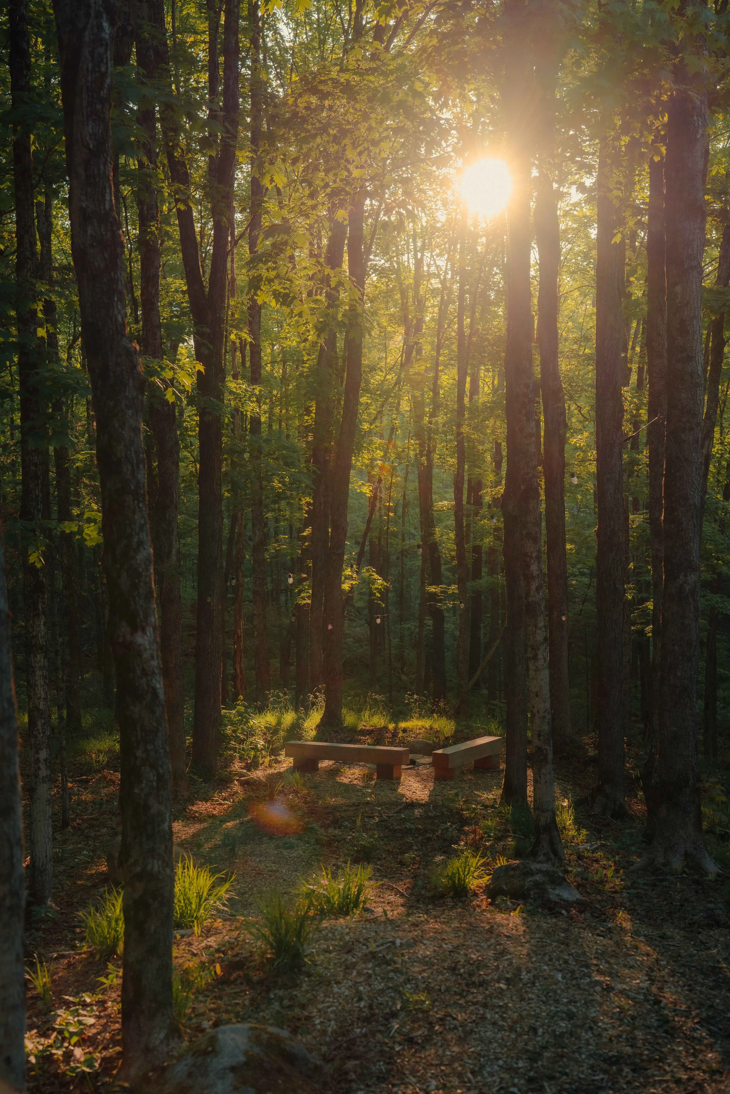 Treehouse Hotels | Canada Hotels | Eco travel | eco hotel | Slow travel | landscape hotel | nature hotel | nature destination | room and wild | Ontario boutique Hotel | Fort Treehouse Co.