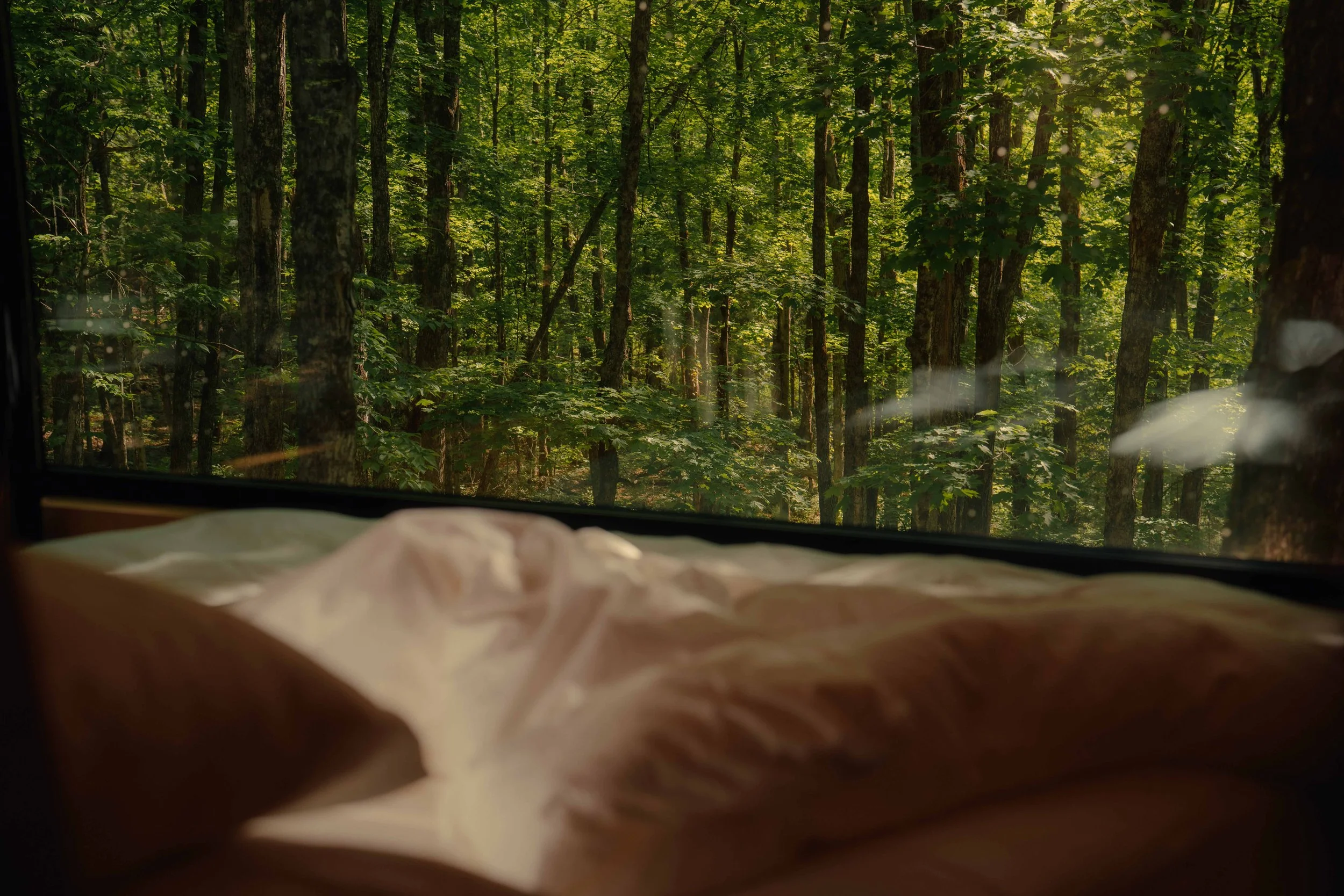 Treehouse Hotels | Canada Hotels | Eco travel | eco hotel | Slow travel | landscape hotel | nature hotel | nature destination | room and wild | Ontario boutique Hotel | Fort Treehouse Co.