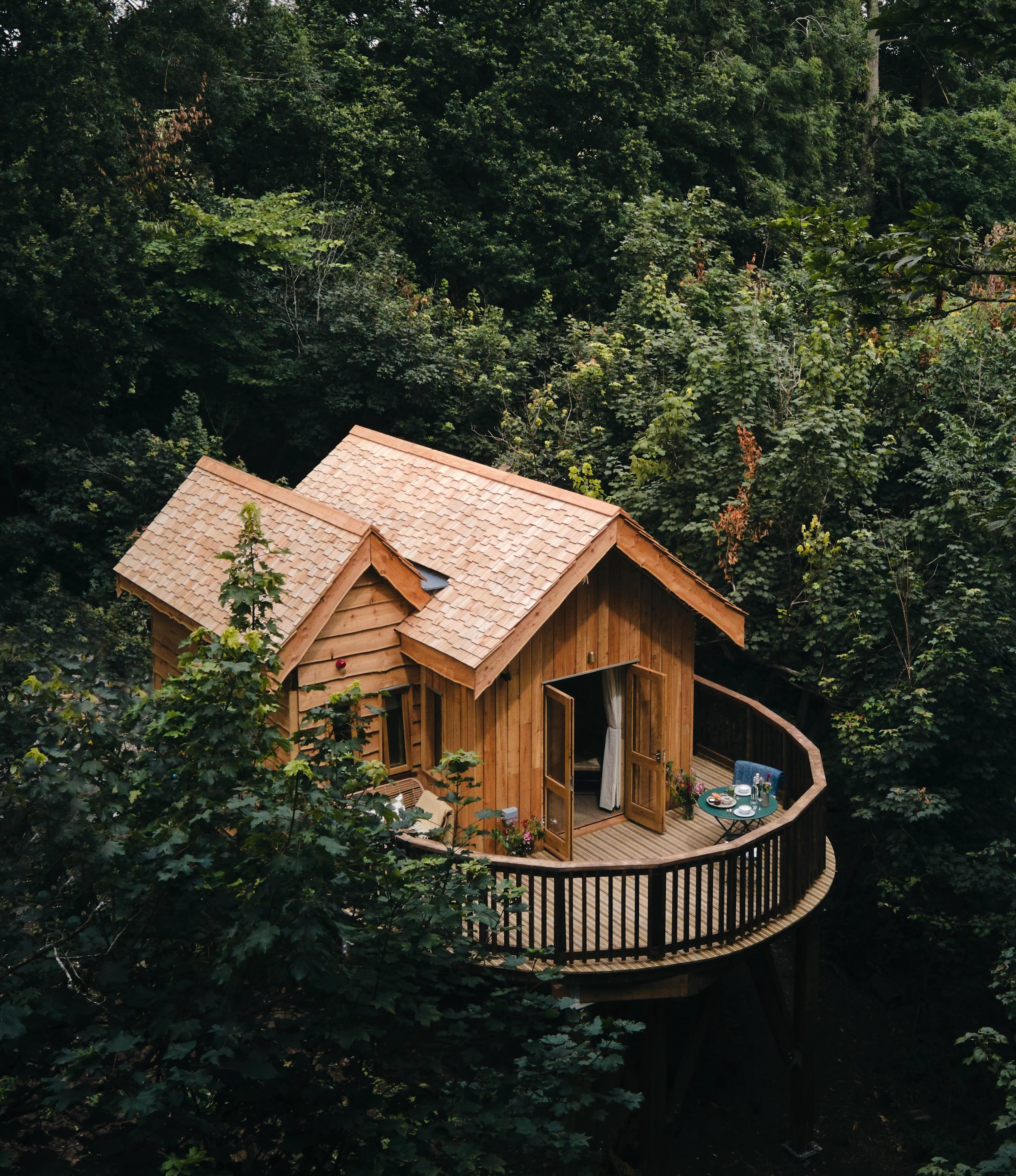 Situated on the edge of the Peak District, Wildhive Callow Hall is surrounded by woodland, meadows, and rolling hills that support rich biodiversity throughout the year. Ancient trees, native wildflowers, and thriving birdlife create an environment t