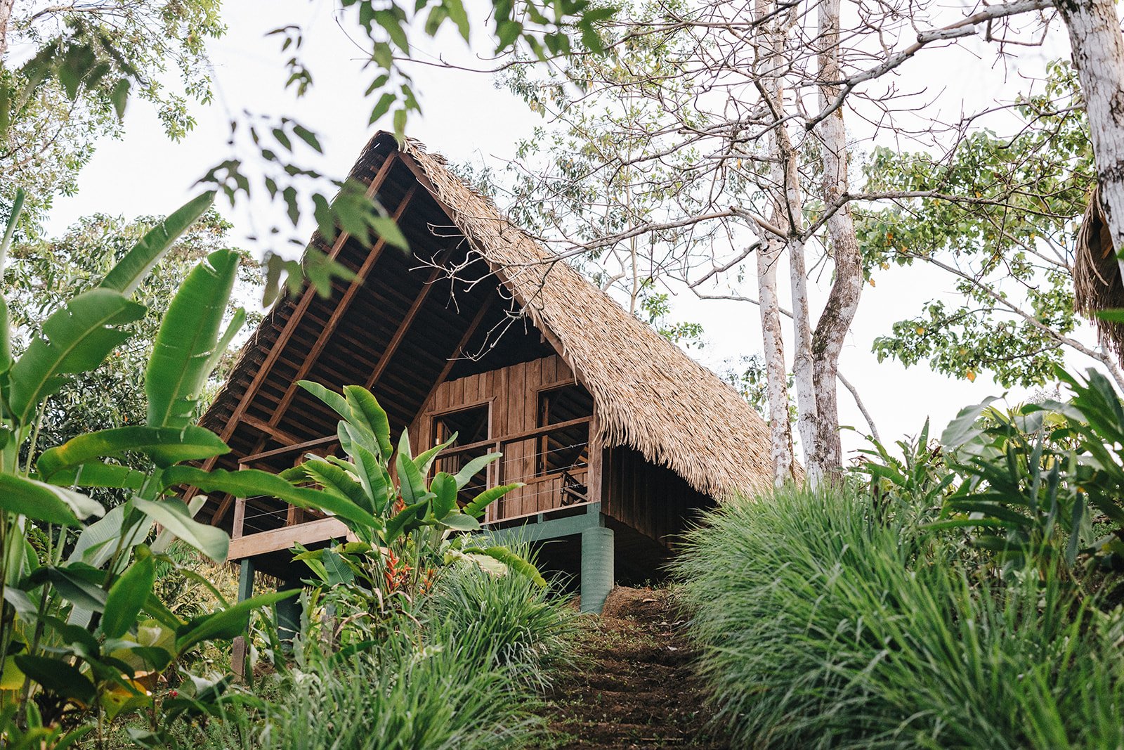 Costa Rica Hotel | Farm Hotels | Agriculture Hotels | Agrotourism | Eco travel | eco hotel | Slow travel | landscape hotel | nature hotel | nature destination | room and wild | Balsa Nueva Lodge