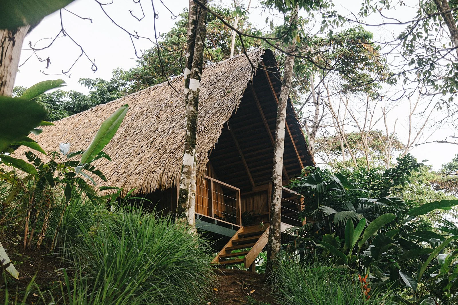 Costa Rica Hotel | Farm Hotels | Agriculture Hotels | Agrotourism | Eco travel | eco hotel | Slow travel | landscape hotel | nature hotel | nature destination | room and wild | Balsa Nueva Lodge