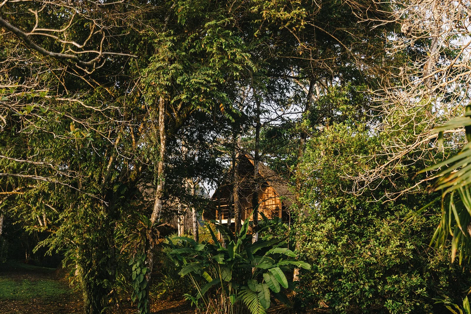 Costa Rica Hotel | Farm Hotels | Agriculture Hotels | Agrotourism | Eco travel | eco hotel | Slow travel | landscape hotel | nature hotel | nature destination | room and wild | Balsa Nueva Lodge