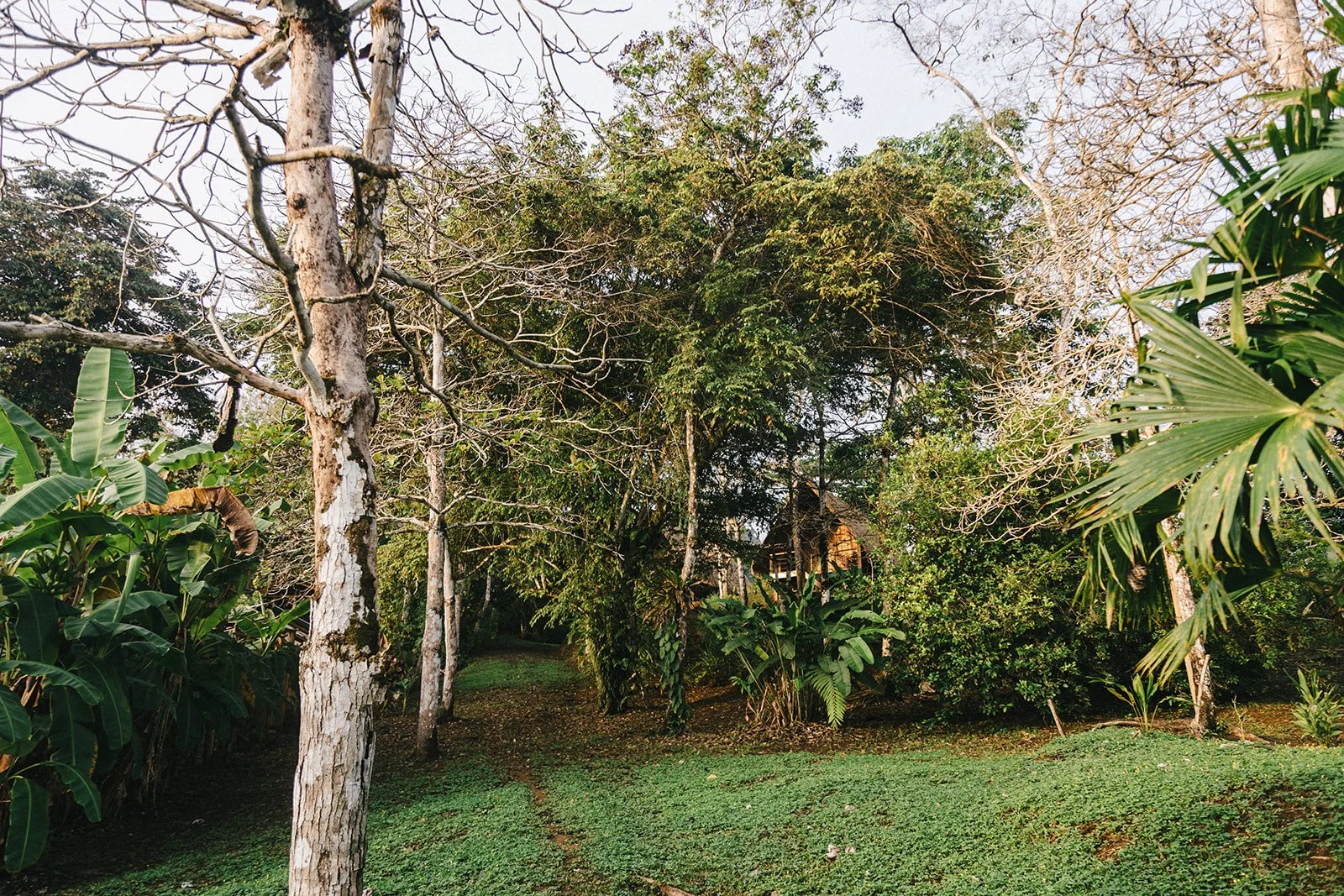 Costa Rica Hotel | Farm Hotels | Agriculture Hotels | Agrotourism | Eco travel | eco hotel | Slow travel | landscape hotel | nature hotel | nature destination | room and wild | Balsa Nueva Lodge
