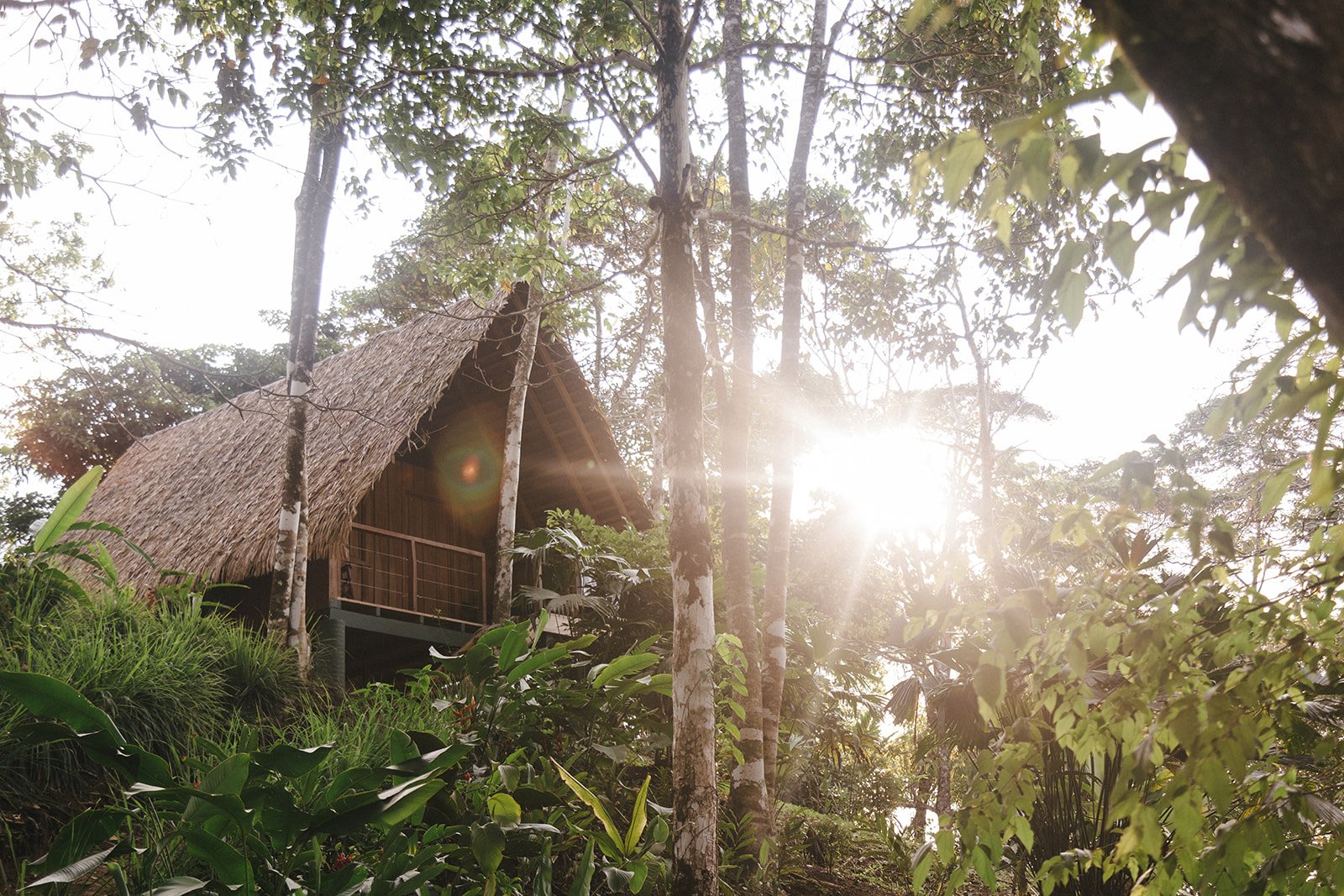 Costa Rica Hotel | Farm Hotels | Agriculture Hotels | Agrotourism | Eco travel | eco hotel | Slow travel | landscape hotel | nature hotel | nature destination | room and wild | Balsa Nueva Lodge