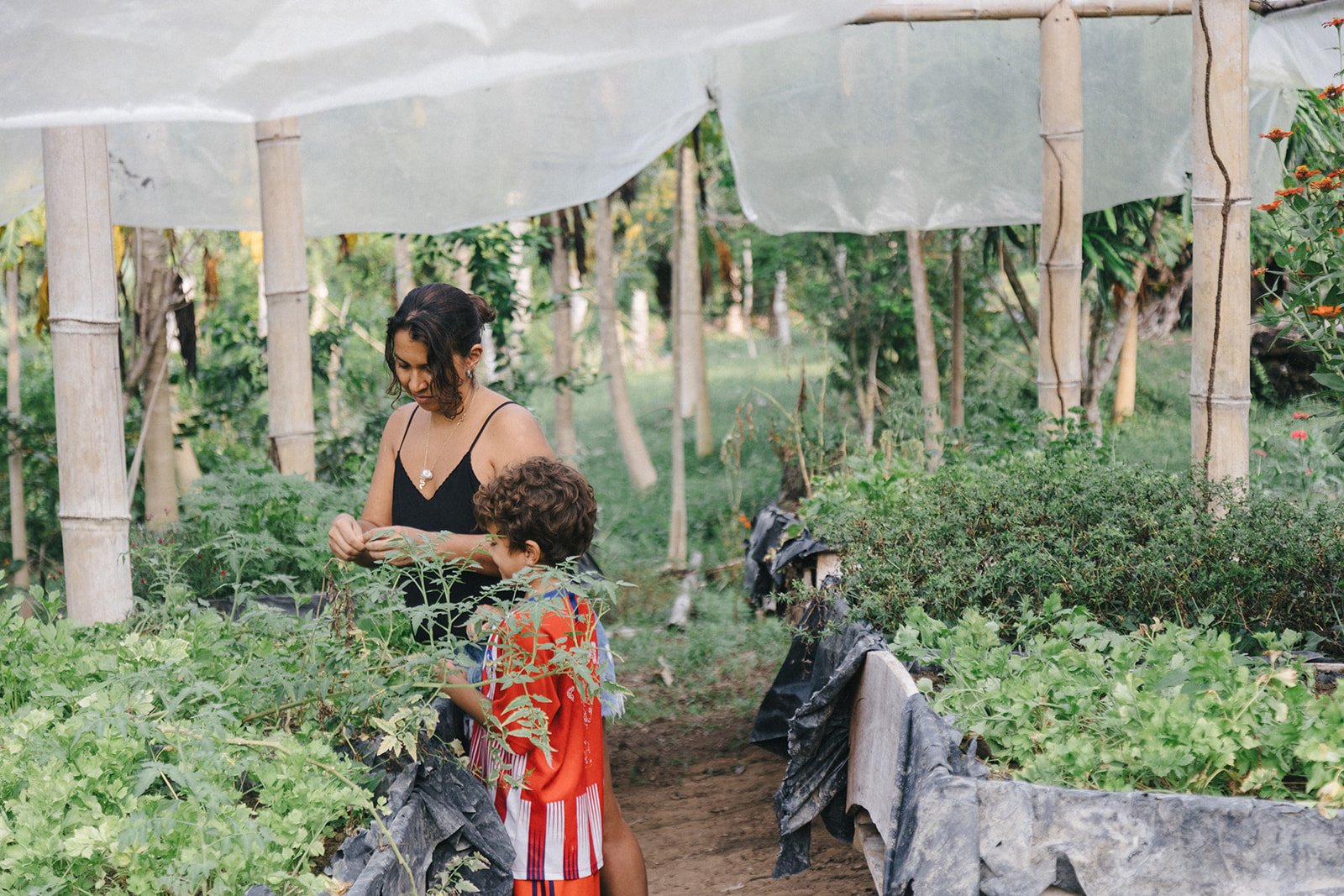 Costa Rica Hotel | Farm Hotels | Agriculture Hotels | Agrotourism | Eco travel | eco hotel | Slow travel | landscape hotel | nature hotel | nature destination | room and wild | Balsa Nueva Lodge