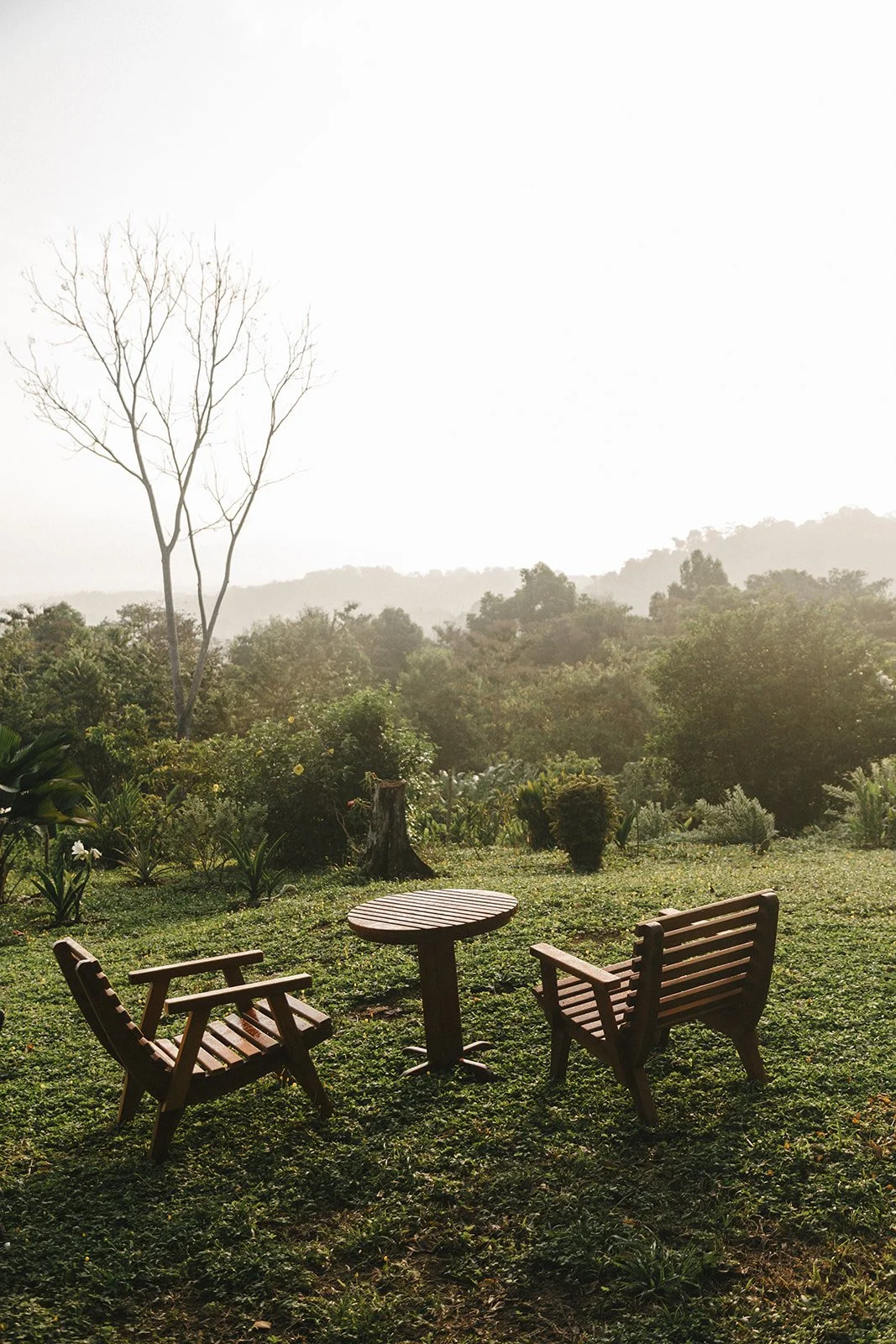 Costa Rica Hotel | Farm Hotels | Agriculture Hotels | Agrotourism | Eco travel | eco hotel | Slow travel | landscape hotel | nature hotel | nature destination | room and wild | Balsa Nueva Lodge
