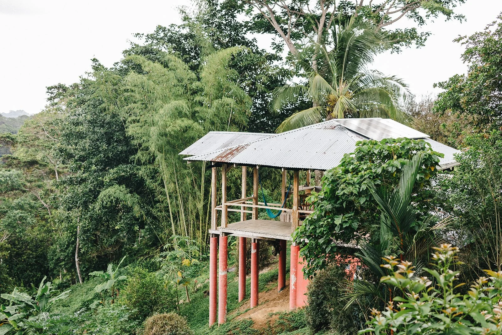 Costa Rica Hotel | Farm Hotels | Agriculture Hotels | Agrotourism | Eco travel | eco hotel | Slow travel | landscape hotel | nature hotel | nature destination | room and wild | Balsa Nueva Lodge