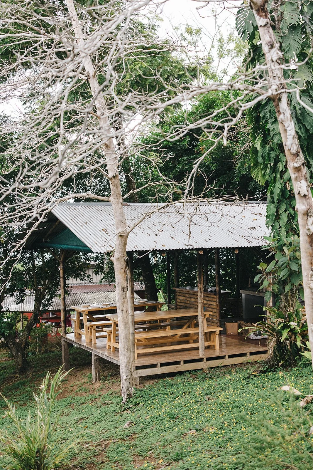 Costa Rica Hotel | Farm Hotels | Agriculture Hotels | Agrotourism | Eco travel | eco hotel | Slow travel | landscape hotel | nature hotel | nature destination | room and wild | Balsa Nueva Lodge