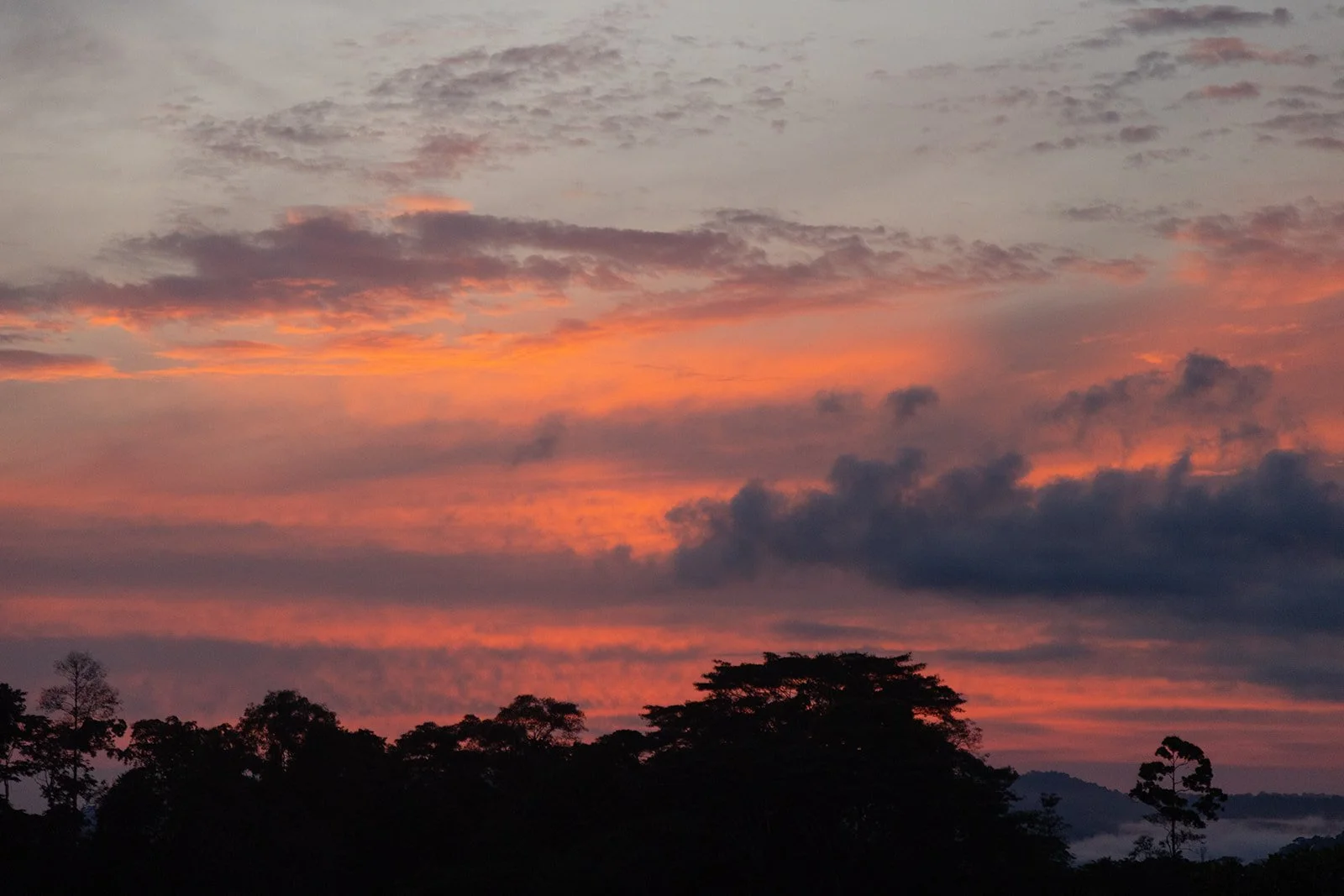 Costa Rica Hotel | Farm Hotels | Agriculture Hotels | Agrotourism | Eco travel | eco hotel | Slow travel | landscape hotel | nature hotel | nature destination | room and wild | Balsa Nueva Lodge