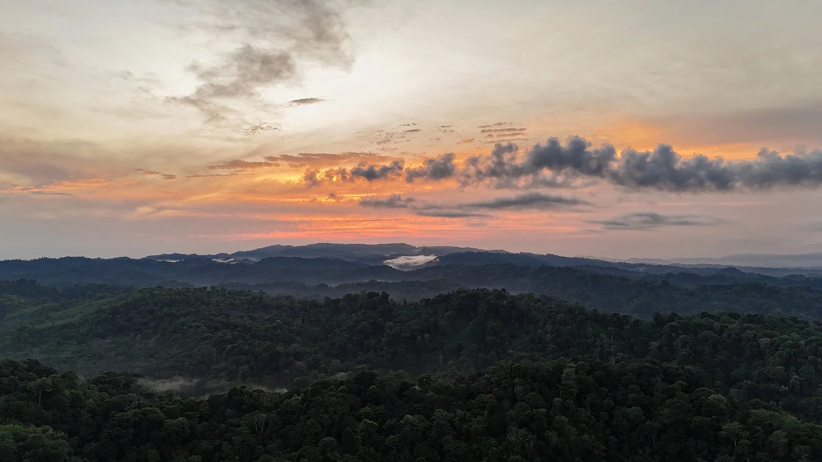 Costa Rica Hotel | Farm Hotels | Agriculture Hotels | Agrotourism | Eco travel | eco hotel | Slow travel | landscape hotel | nature hotel | nature destination | room and wild | Balsa Nueva Lodge