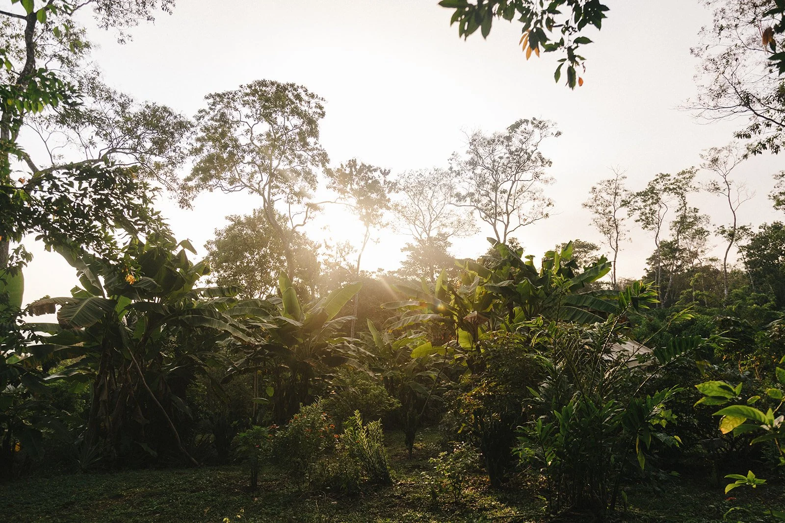 Costa Rica Hotel | Farm Hotels | Agriculture Hotels | Agrotourism | Eco travel | eco hotel | Slow travel | landscape hotel | nature hotel | nature destination | room and wild | Balsa Nueva Lodge