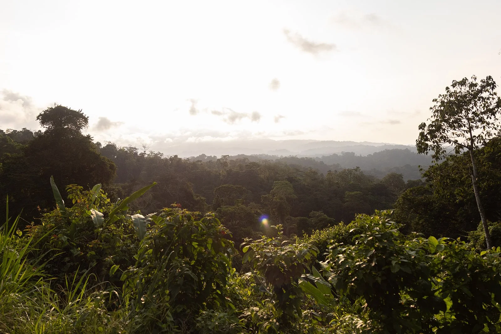 Costa Rica Hotel | Farm Hotels | Agriculture Hotels | Agrotourism | Eco travel | eco hotel | Slow travel | landscape hotel | nature hotel | nature destination | room and wild | Balsa Nueva Lodge