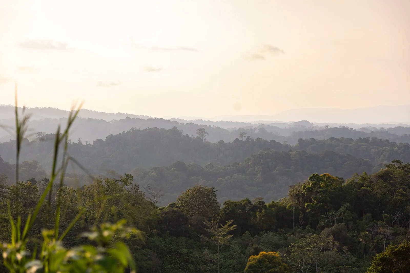 Costa Rica Hotel | Farm Hotels | Agriculture Hotels | Agrotourism | Eco travel | eco hotel | Slow travel | landscape hotel | nature hotel | nature destination | room and wild | Balsa Nueva Lodge