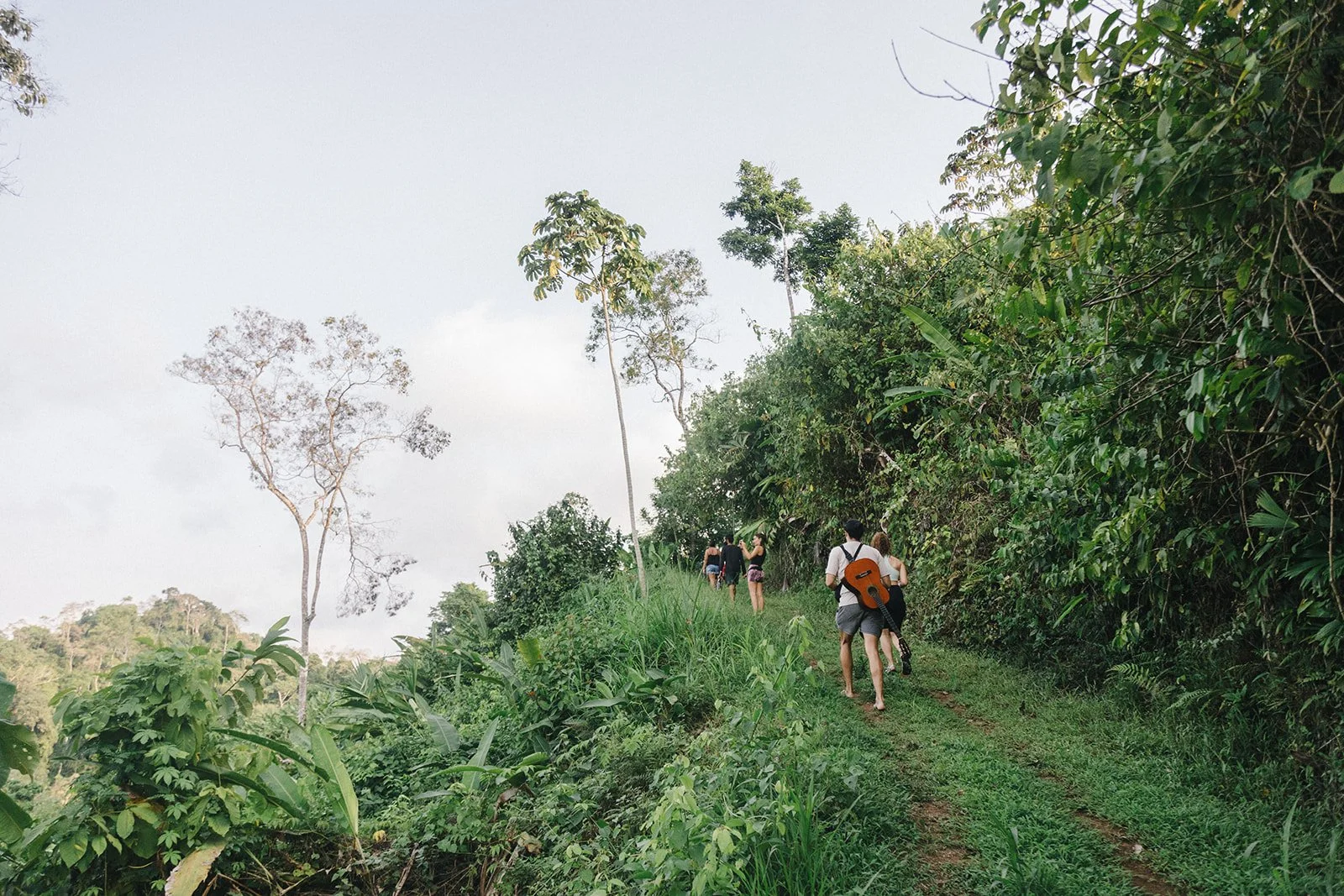 Costa Rica Hotel | Farm Hotels | Agriculture Hotels | Agrotourism | Eco travel | eco hotel | Slow travel | landscape hotel | nature hotel | nature destination | room and wild | Balsa Nueva Lodge