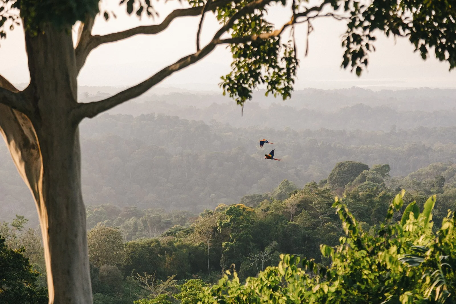 Costa Rica Hotel | Farm Hotels | Agriculture Hotels | Agrotourism | Eco travel | eco hotel | Slow travel | landscape hotel | nature hotel | nature destination | room and wild | Balsa Nueva Lodge