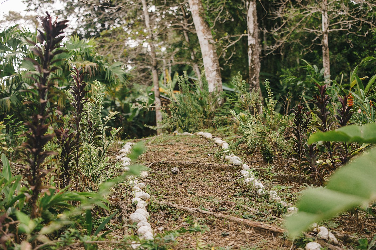 Costa Rica Hotel | Farm Hotels | Agriculture Hotels | Agrotourism | Eco travel | eco hotel | Slow travel | landscape hotel | nature hotel | nature destination | room and wild | Balsa Nueva Lodge