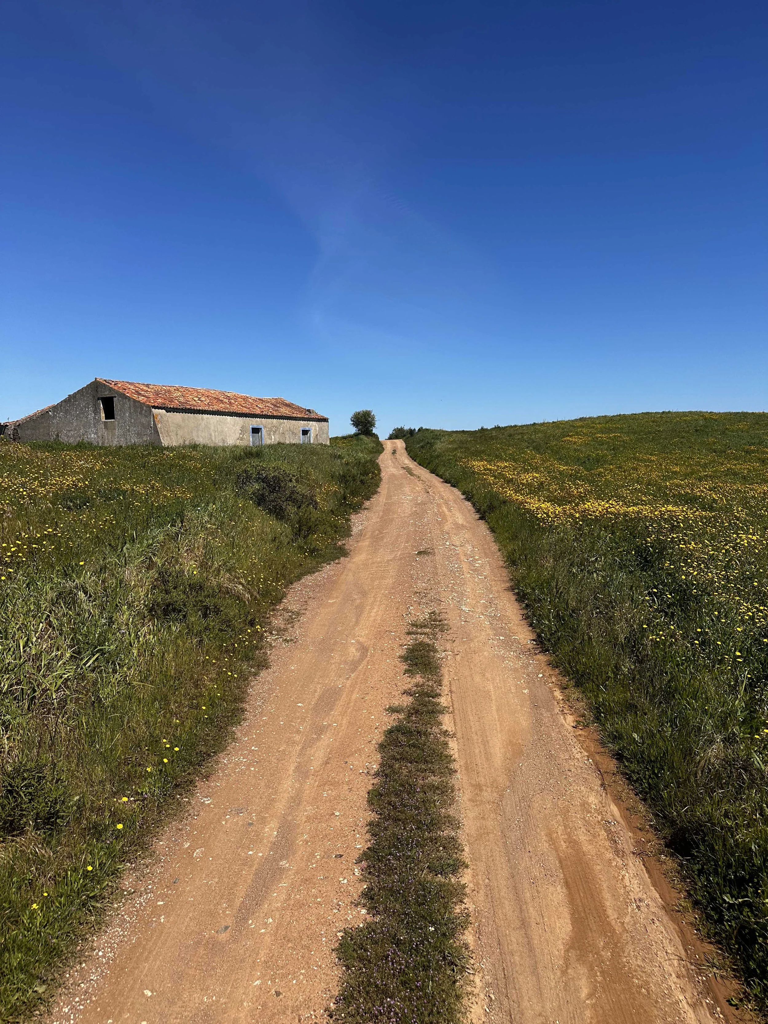 Portugal Hotels | Alentejo | Vicentine Coast | wellness | surf | yoga | mindfulness | Eco travel | eco hotel |  landscape hotel | nature hotel | nature destination | room and wild | Quinta Camarena