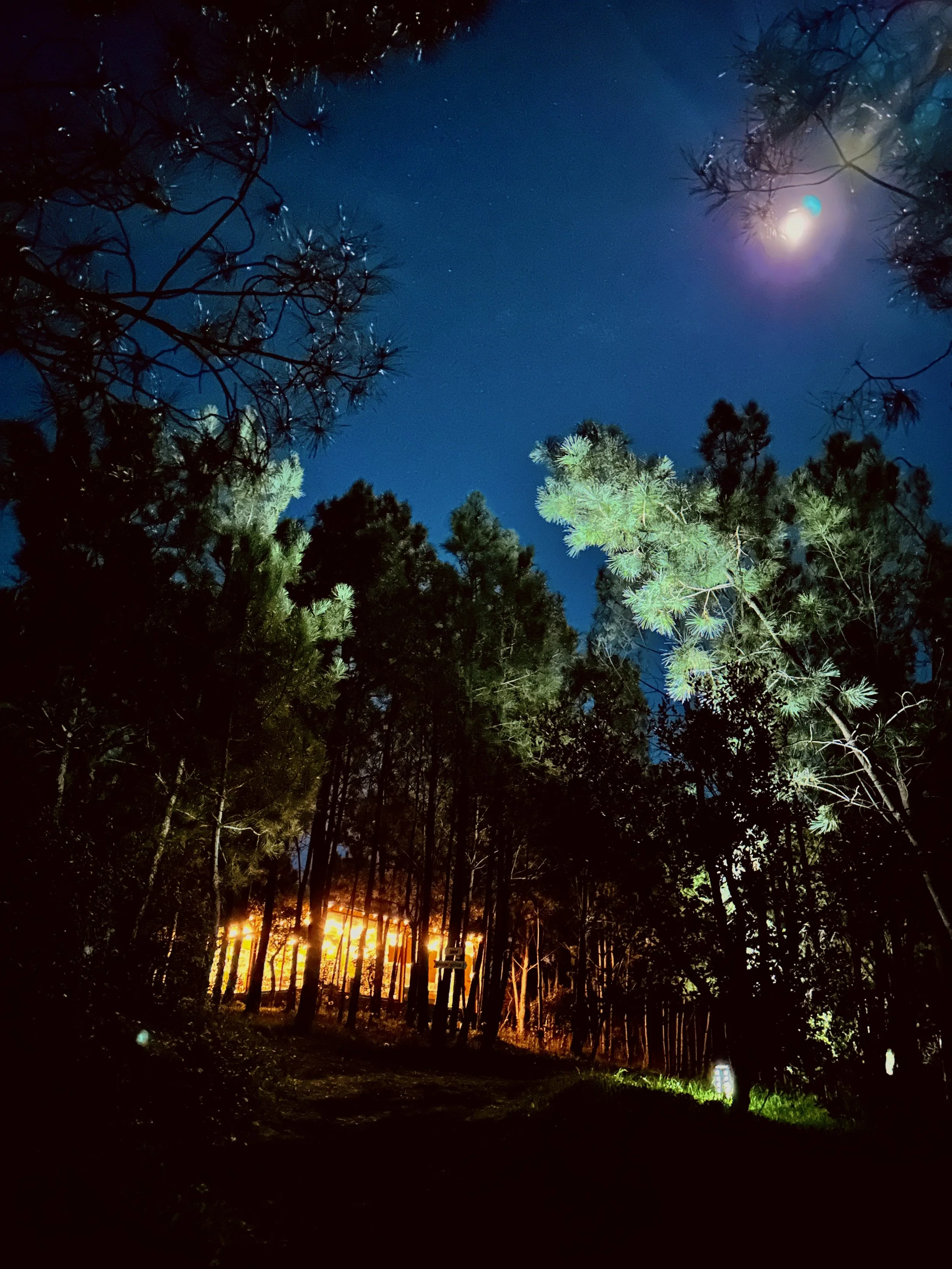 Portugal Hotels | Alentejo | Vicentine Coast | wellness | surf | yoga | mindfulness | Eco travel | eco hotel |  landscape hotel | nature hotel | nature destination | room and wild | Quinta Camarena